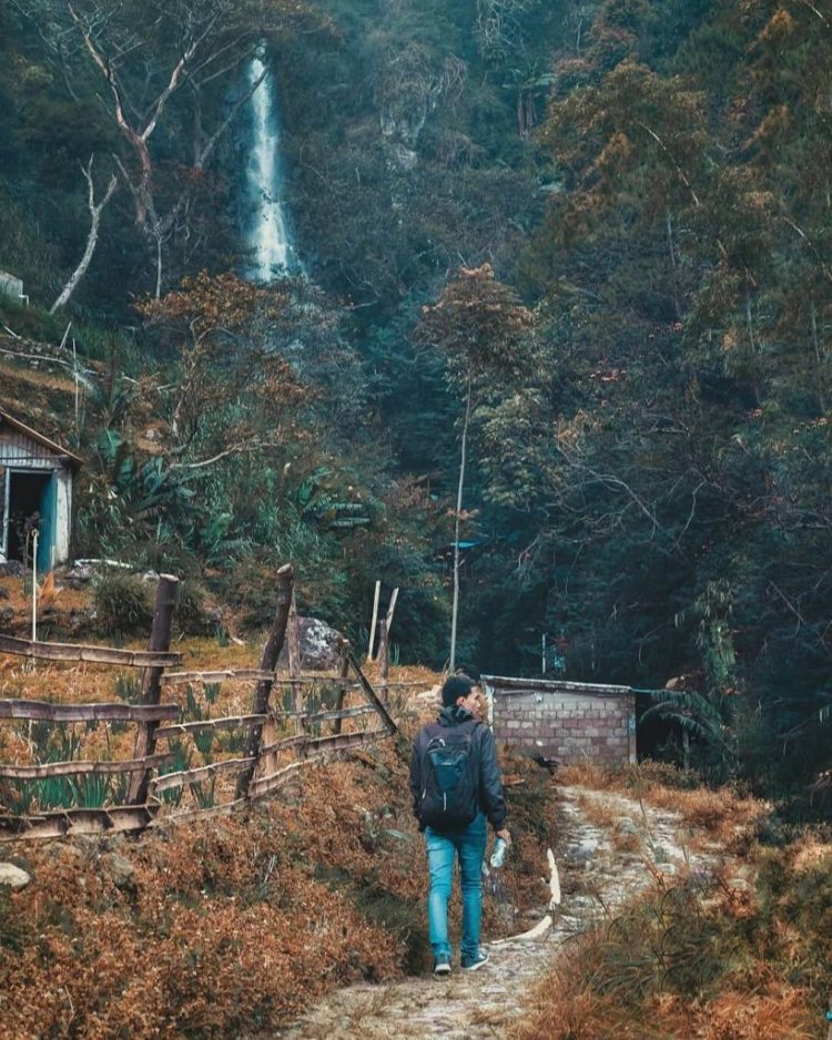 Jalan Setapak Menuju ke Air Terjun Tirtosari Magetan