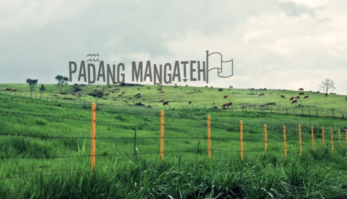 Padang Mengatas - 65 Tempat Wisata di Sumatera Barat Terhits yang Wajib Dikunjungi, 1. Jam Gadang di Bukit Tinggi, 2. Istana Baso Pagaruyung, 3. Pantai Carocok Painan, 4. Lobang Jepang, 5. Pantai Padang ‘Nan Rancak Bana’ , 6. Pantai Gandoriah Pariaman, 7. Puncak Lawang Maninjau, 8. Lembah Anai , 9. Museum Adityawarman, 10. Pantai Muaro Padang & Jembatan Siti Nurbaya, 11. Pantai Kata Pariaman, 12. Benteng Fort de Kock, 13. Ngarai Sianok, 14. Pantai Cermin, 15. Wisata Pantai Caroline/Carolina, 16. Air Panas Bukik Kili, 17. Danau Maninjau, 18. Pemandian Lubuk Minturun, 19. Lembah Harau , 20. Puncak Anai (Pemandian dan Camping Ground), 21. Pesona Kepulauan Mentawai , 22. Janjang Seribu Great Wall of Koto Gadang, 23. Danau Singkarak, 24. Danau Diateh dan Danau Dibawah ( Danau Kembar ), 25. Pantai Aie Manih si Malin Kundang, 26. Pulau Cubadak, 27. Kawasan Wisata Mandeh, 28. Pulau Sikuai, 29. Tirta Alami, 30. Air Terjun Nyarai, 31. Pemandian Alam Sako Tapan, 32. Lubuak Bonta, 33. Lubuak Mato Kuciang, 34. Pemandian Alami Batang Tabik, 35. Lubuak Paraku, 36. Air Terjun Timbulun, 37. Muaro Binguang, 38. Ngalau Indah , 39. Jembatan Akar Pesisir Selatan, 40. Pulau Pasumpahan , 41. Pantai Nirwana, 42. Air Terjun Tigo Tingkek, 43. Air Terjun Sarasah Banyak Gariang, 44. Panorama Sitinjau Lauik, 45. Tapian Puti, 46. Lubuak Rantiang, 47. Sirukam Dairy Farm, 48. Puncak Gagoan, 49. Rumah Pohon Laing Park Solok, 50. Puncak Gobah, 51. Air Terjun Kapalo Banda Koto Hilalang, 52. Danau Talang – Solok, 53. Danau Dieteh dan Danau Dibawah, 54. Kebun Teh Alahan Panjang, Solok, 55. Jembatan Kelok Sembilan, 56. Air Terjun Lubuak Bulan, 57. Padang Mengatas, 58. Pulau Angso Duo Pariaman, 59. Pantai Tiram, 60. Puncak Langkisau