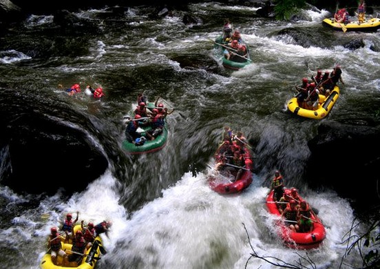 Arung Jeram di Sungai Ayung, 1. Museum Blanco Renaissance, 2. Museum Seni Agung Rai, 3. Pura Puseh Desa Batuan, 4. Candi Gunung Kawi, 5. Bali Safari &amp; Marine Park, 6. Mandala Wisata Wenara Wana, 7. Museum Puri Lukisan, 8. Museum Seni Neka, 9. Goa Gajah, 10. Pasar Sukowati, 11. Pemandian Pura Tirta Empul, 12. Bali Bird Park, 13. Elephant Safari Park, 14. Kebun Binatang Bali, 15. Air Terjun Tegenungan, 16. Bukit Campuhan, 17. Taman Kupu-Kupu Kemenuh, 18. Pura Tirta Empul, 19. Pura Taman Saraswati, 20.  Air terjun Kanto lampo, 21. Air Terjun Goa Rang Reng, 22. Desa Tegalalang, 23. Arung Jeram di Sungai Ayung, 24. Taman Nusa, 25. Pantai Lebih Gianyar, 26. Bukit Jati Waterboom, 27. Sekar Bumi Farm, 28. Wisata Bali Pulina, 29. Puri Saren Agung, 30. Puri Dalem Agung Padangtegal, 31. Wisata Desa Ubud, 32. Wisata Hidden Canyon Beji Guwang, 33. Desa Wisata Nyuh Kuning, 34. Wisata Rudana Museum, 35. Wisata Monkey Forest, 36. Wisata Tari Legong Mahabharata, 37. Wisata Pasar Tradisional Di Ubud, 38. Wisata Pasar Senggol Di Ubud, 39. Wisata Desa Celuk, 40. Wisata Pura Pegulingan di Tampaksiring, 41. Wisata Pura Bukit Camplung, 42. Pura Kebo Edan, 43. Pura Dalem Sidan, 44. Wisata Desa Sidan, 45. Wisata Pantai Siyut, 46. Wisata Pantai Secret Ketewel, 47. Wisata Pura Dharma Durga Kutri, 48. Museum Pendet di Ubud, 49. Wisata Pantai Cucukan, 50. Wisata Goa Garba, 51. Wisata Desa Petulu, 52. Wisata Relief Yeh Pulu, 53. Wisata Tari Barong, 54. Wisata Candi Tebing, 55. Wisata Pantai Purnama