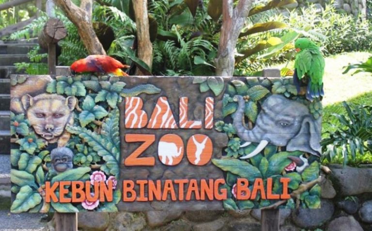 Kebun Binatang Bali, 1. Museum Blanco Renaissance, 2. Museum Seni Agung Rai, 3. Pura Puseh Desa Batuan, 4. Candi Gunung Kawi, 5. Bali Safari &amp; Marine Park, 6. Mandala Wisata Wenara Wana, 7. Museum Puri Lukisan, 8. Museum Seni Neka, 9. Goa Gajah, 10. Pasar Sukowati, 11. Pemandian Pura Tirta Empul, 12. Bali Bird Park, 13. Elephant Safari Park, 14. Kebun Binatang Bali, 15. Air Terjun Tegenungan, 16. Bukit Campuhan, 17. Taman Kupu-Kupu Kemenuh, 18. Pura Tirta Empul, 19. Pura Taman Saraswati, 20.  Air terjun Kanto lampo, 21. Air Terjun Goa Rang Reng, 22. Desa Tegalalang, 23. Arung Jeram di Sungai Ayung, 24. Taman Nusa, 25. Pantai Lebih Gianyar, 26. Bukit Jati Waterboom, 27. Sekar Bumi Farm, 28. Wisata Bali Pulina, 29. Puri Saren Agung, 30. Puri Dalem Agung Padangtegal, 31. Wisata Desa Ubud, 32. Wisata Hidden Canyon Beji Guwang, 33. Desa Wisata Nyuh Kuning, 34. Wisata Rudana Museum, 35. Wisata Monkey Forest, 36. Wisata Tari Legong Mahabharata, 37. Wisata Pasar Tradisional Di Ubud, 38. Wisata Pasar Senggol Di Ubud, 39. Wisata Desa Celuk, 40. Wisata Pura Pegulingan di Tampaksiring, 41. Wisata Pura Bukit Camplung, 42. Pura Kebo Edan, 43. Pura Dalem Sidan, 44. Wisata Desa Sidan, 45. Wisata Pantai Siyut, 46. Wisata Pantai Secret Ketewel, 47. Wisata Pura Dharma Durga Kutri, 48. Museum Pendet di Ubud, 49. Wisata Pantai Cucukan, 50. Wisata Goa Garba, 51. Wisata Desa Petulu, 52. Wisata Relief Yeh Pulu, 53. Wisata Tari Barong, 54. Wisata Candi Tebing, 55. Wisata Pantai Purnama