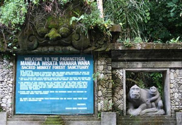 Mandala Wisata Wenara Wana, 1. Museum Blanco Renaissance, 2. Museum Seni Agung Rai, 3. Pura Puseh Desa Batuan, 4. Candi Gunung Kawi, 5. Bali Safari &amp; Marine Park, 6. Mandala Wisata Wenara Wana, 7. Museum Puri Lukisan, 8. Museum Seni Neka, 9. Goa Gajah, 10. Pasar Sukowati, 11. Pemandian Pura Tirta Empul, 12. Bali Bird Park, 13. Elephant Safari Park, 14. Kebun Binatang Bali, 15. Air Terjun Tegenungan, 16. Bukit Campuhan, 17. Taman Kupu-Kupu Kemenuh, 18. Pura Tirta Empul, 19. Pura Taman Saraswati, 20.  Air terjun Kanto lampo, 21. Air Terjun Goa Rang Reng, 22. Desa Tegalalang, 23. Arung Jeram di Sungai Ayung, 24. Taman Nusa, 25. Pantai Lebih Gianyar, 26. Bukit Jati Waterboom, 27. Sekar Bumi Farm, 28. Wisata Bali Pulina, 29. Puri Saren Agung, 30. Puri Dalem Agung Padangtegal, 31. Wisata Desa Ubud, 32. Wisata Hidden Canyon Beji Guwang, 33. Desa Wisata Nyuh Kuning, 34. Wisata Rudana Museum, 35. Wisata Monkey Forest, 36. Wisata Tari Legong Mahabharata, 37. Wisata Pasar Tradisional Di Ubud, 38. Wisata Pasar Senggol Di Ubud, 39. Wisata Desa Celuk, 40. Wisata Pura Pegulingan di Tampaksiring, 41. Wisata Pura Bukit Camplung, 42. Pura Kebo Edan, 43. Pura Dalem Sidan, 44. Wisata Desa Sidan, 45. Wisata Pantai Siyut, 46. Wisata Pantai Secret Ketewel, 47. Wisata Pura Dharma Durga Kutri, 48. Museum Pendet di Ubud, 49. Wisata Pantai Cucukan, 50. Wisata Goa Garba, 51. Wisata Desa Petulu, 52. Wisata Relief Yeh Pulu, 53. Wisata Tari Barong, 54. Wisata Candi Tebing, 55. Wisata Pantai Purnama