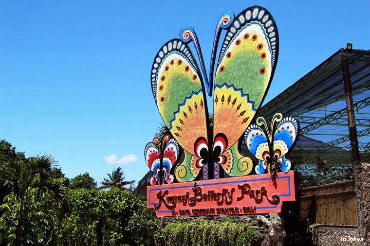 Taman Kupu-Kupu Kemenuh, 1. Museum Blanco Renaissance, 2. Museum Seni Agung Rai, 3. Pura Puseh Desa Batuan, 4. Candi Gunung Kawi, 5. Bali Safari &amp; Marine Park, 6. Mandala Wisata Wenara Wana, 7. Museum Puri Lukisan, 8. Museum Seni Neka, 9. Goa Gajah, 10. Pasar Sukowati, 11. Pemandian Pura Tirta Empul, 12. Bali Bird Park, 13. Elephant Safari Park, 14. Kebun Binatang Bali, 15. Air Terjun Tegenungan, 16. Bukit Campuhan, 17. Taman Kupu-Kupu Kemenuh, 18. Pura Tirta Empul, 19. Pura Taman Saraswati, 20.  Air terjun Kanto lampo, 21. Air Terjun Goa Rang Reng, 22. Desa Tegalalang, 23. Arung Jeram di Sungai Ayung, 24. Taman Nusa, 25. Pantai Lebih Gianyar, 26. Bukit Jati Waterboom, 27. Sekar Bumi Farm, 28. Wisata Bali Pulina, 29. Puri Saren Agung, 30. Puri Dalem Agung Padangtegal, 31. Wisata Desa Ubud, 32. Wisata Hidden Canyon Beji Guwang, 33. Desa Wisata Nyuh Kuning, 34. Wisata Rudana Museum, 35. Wisata Monkey Forest, 36. Wisata Tari Legong Mahabharata, 37. Wisata Pasar Tradisional Di Ubud, 38. Wisata Pasar Senggol Di Ubud, 39. Wisata Desa Celuk, 40. Wisata Pura Pegulingan di Tampaksiring, 41. Wisata Pura Bukit Camplung, 42. Pura Kebo Edan, 43. Pura Dalem Sidan, 44. Wisata Desa Sidan, 45. Wisata Pantai Siyut, 46. Wisata Pantai Secret Ketewel, 47. Wisata Pura Dharma Durga Kutri, 48. Museum Pendet di Ubud, 49. Wisata Pantai Cucukan, 50. Wisata Goa Garba, 51. Wisata Desa Petulu, 52. Wisata Relief Yeh Pulu, 53. Wisata Tari Barong, 54. Wisata Candi Tebing, 55. Wisata Pantai Purnama
