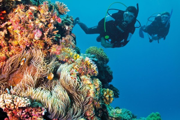 Taman Wisata Laut Olele, 1. TIARA Water Park, 2. Pantai Ratu, 3. Benteng Ulanta, 4. Pantai TAMENDAO, 5. Desa Wisata Religi Buboho Bongo, 6. Pulo Cinta Gorontalo, 7. Air Terjun Hiyaliyo Da’a, 8. Air Terjun Permai Taludaa, 9. Pantai Kurenai, 10. Pantai Dunu, 11. Wisata Laut Olele, 12. Pulau Saronde, 13. Pantai Mananggu, 14. Air Terjun Tenilo, 15. Pantai Tenilo, 16. Pantai Bolihutuo, 17. Desa Suku Bajo (Desa Torosiaje), 18. Benteng Otanaha, 19. Wisata Bahari Hiu Paus, 20. Monumen Nani Wartabone, 21. Pantai Pasir Putih Leato, 22. Menara Keagungan Limboto, 23. Pemandian Air Panas Lombongo, 24. Pantai Tangga 2000, 25. Air Terjun Ayuhulalo, 26. Pantai Indah Boalemo, 27. Pusat Karawo, 28. Pantai Botutonuo, 29. Pacuan Karapan Sapi, 30. Teluk Tomini, 31. Kolam Renang Potanga, 32. Pulau Bitila, 33. Wisata Pentadio Resort, 34. Rumah Adat Gorontalo, 35. Wisata Bukit Layang Gorontalo, 36. Masjid Walima Emas Gorontalo, 37. Danau Perintis, 38. Pulau Diyonumo, 39. Danau Limboto, 40. Taman Nasional Bogani Nani Wartabone Gorontalo