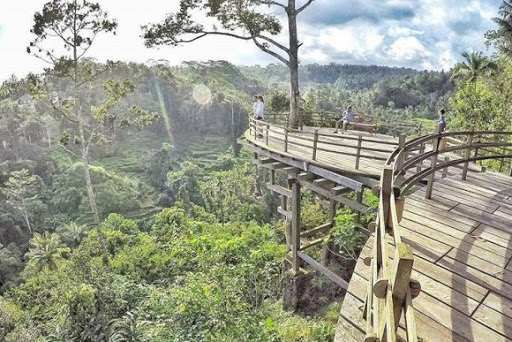 Wisata Bali Pulina, 1. Museum Blanco Renaissance, 2. Museum Seni Agung Rai, 3. Pura Puseh Desa Batuan, 4. Candi Gunung Kawi, 5. Bali Safari &amp; Marine Park, 6. Mandala Wisata Wenara Wana, 7. Museum Puri Lukisan, 8. Museum Seni Neka, 9. Goa Gajah, 10. Pasar Sukowati, 11. Pemandian Pura Tirta Empul, 12. Bali Bird Park, 13. Elephant Safari Park, 14. Kebun Binatang Bali, 15. Air Terjun Tegenungan, 16. Bukit Campuhan, 17. Taman Kupu-Kupu Kemenuh, 18. Pura Tirta Empul, 19. Pura Taman Saraswati, 20.  Air terjun Kanto lampo, 21. Air Terjun Goa Rang Reng, 22. Desa Tegalalang, 23. Arung Jeram di Sungai Ayung, 24. Taman Nusa, 25. Pantai Lebih Gianyar, 26. Bukit Jati Waterboom, 27. Sekar Bumi Farm, 28. Wisata Bali Pulina, 29. Puri Saren Agung, 30. Puri Dalem Agung Padangtegal, 31. Wisata Desa Ubud, 32. Wisata Hidden Canyon Beji Guwang, 33. Desa Wisata Nyuh Kuning, 34. Wisata Rudana Museum, 35. Wisata Monkey Forest, 36. Wisata Tari Legong Mahabharata, 37. Wisata Pasar Tradisional Di Ubud, 38. Wisata Pasar Senggol Di Ubud, 39. Wisata Desa Celuk, 40. Wisata Pura Pegulingan di Tampaksiring, 41. Wisata Pura Bukit Camplung, 42. Pura Kebo Edan, 43. Pura Dalem Sidan, 44. Wisata Desa Sidan, 45. Wisata Pantai Siyut, 46. Wisata Pantai Secret Ketewel, 47. Wisata Pura Dharma Durga Kutri, 48. Museum Pendet di Ubud, 49. Wisata Pantai Cucukan, 50. Wisata Goa Garba, 51. Wisata Desa Petulu, 52. Wisata Relief Yeh Pulu, 53. Wisata Tari Barong, 54. Wisata Candi Tebing, 55. Wisata Pantai Purnama