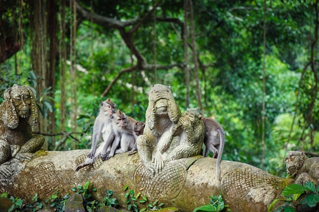 Wisata Monkey Forest via Traveloka, 1. Museum Blanco Renaissance, 2. Museum Seni Agung Rai, 3. Pura Puseh Desa Batuan, 4. Candi Gunung Kawi, 5. Bali Safari &amp; Marine Park, 6. Mandala Wisata Wenara Wana, 7. Museum Puri Lukisan, 8. Museum Seni Neka, 9. Goa Gajah, 10. Pasar Sukowati, 11. Pemandian Pura Tirta Empul, 12. Bali Bird Park, 13. Elephant Safari Park, 14. Kebun Binatang Bali, 15. Air Terjun Tegenungan, 16. Bukit Campuhan, 17. Taman Kupu-Kupu Kemenuh, 18. Pura Tirta Empul, 19. Pura Taman Saraswati, 20.  Air terjun Kanto lampo, 21. Air Terjun Goa Rang Reng, 22. Desa Tegalalang, 23. Arung Jeram di Sungai Ayung, 24. Taman Nusa, 25. Pantai Lebih Gianyar, 26. Bukit Jati Waterboom, 27. Sekar Bumi Farm, 28. Wisata Bali Pulina, 29. Puri Saren Agung, 30. Puri Dalem Agung Padangtegal, 31. Wisata Desa Ubud, 32. Wisata Hidden Canyon Beji Guwang, 33. Desa Wisata Nyuh Kuning, 34. Wisata Rudana Museum, 35. Wisata Monkey Forest, 36. Wisata Tari Legong Mahabharata, 37. Wisata Pasar Tradisional Di Ubud, 38. Wisata Pasar Senggol Di Ubud, 39. Wisata Desa Celuk, 40. Wisata Pura Pegulingan di Tampaksiring, 41. Wisata Pura Bukit Camplung, 42. Pura Kebo Edan, 43. Pura Dalem Sidan, 44. Wisata Desa Sidan, 45. Wisata Pantai Siyut, 46. Wisata Pantai Secret Ketewel, 47. Wisata Pura Dharma Durga Kutri, 48. Museum Pendet di Ubud, 49. Wisata Pantai Cucukan, 50. Wisata Goa Garba, 51. Wisata Desa Petulu, 52. Wisata Relief Yeh Pulu, 53. Wisata Tari Barong, 54. Wisata Candi Tebing, 55. Wisata Pantai Purnama