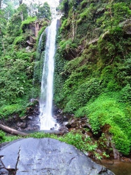 Air Terjun Darungan, 1. Padang Rumput Savana, 2. Probolinggo Punya Miniatur Pulau Madura, Gili Ketapang, 3. Objek Wisata Gunung Bromo, 4. Menikmati Keindahan Puncak B29 Bromo, 5. Wisata Alam Air Terjun Madakaripura, 6. Wisata Air Terjun Umbulan, 7. Liburan Seru ke Gunung Argopuro, 8. Danau Taman Hidup, 9. Air Terjun Watu Lawang, 10. Air Terjun Triban, 11. Air Terjun Kedung Amis, 12. Air Terjun Sumber Pakis II, 13. Berlama-lama di Pantai Bentar, 14. Bukit Bentar Probolinggo, 15. Menikmati Kesejukan Kebun Teh Andung Biru, 16. Relaksasi di Pemandian Air Panas Desa Tiris, 17. Coba Tantangan Arung Jeram Sungai Pekalen, 18. Air Terjun Darungan, 19. Air Terjun Kali Pedati, 20. Danau Ronggojalu, 21. Danau Agung, 22. Ranu Segaran, 23. Menilik Sejarah di Candi Jabung, 24. Candi Kedaton, 25. Taman Wisata Studi Lingkungan (TWSL), 26. Agrowisata Sumberbendo, 27. Liburan Bersejarah di Museum Probolinggo, 28. Nongkrong di Alun-Alun Probolinggo, 29. Mandi-mandi di Kolam Renang TRA, 30. Wisata Mangrove BJBR Probolinggo, 31. Madakaripura Forest Park, 32. Mahoni Grand Park, 33. Masjid Tiban Babussalam, 34. Museum Dr. Mohammad Saleh, 35. Pelabuhan Tanjung Tembaga, 36. Wisata Ranu Merah, 37. B-30 Gunung Bromo, 38. Bromo Terrace, 39. Jiwa Jawa Resort Bromo, 40. Pagupon Bromo Budget Lodge, 41. Air Terjun Jaran Goyang, 42. Bermi Mini Land, 43. Pantai Duta, 44. Pantai Tambak Sari, 45. Gunung Batok, 46. Cikasur, 47. Hutan Damar, 48. Bromo Camp House, 49. Air Terjun Buto Ijo, 50. Air Terjun Dalem, 51. Jembatan Biru Ranon, 52. Wisata Agropolitan, 53. Sumber Naga
