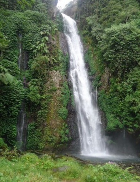 Air Terjun Kali Pedati, 1. Padang Rumput Savana, 2. Probolinggo Punya Miniatur Pulau Madura, Gili Ketapang, 3. Objek Wisata Gunung Bromo, 4. Menikmati Keindahan Puncak B29 Bromo, 5. Wisata Alam Air Terjun Madakaripura, 6. Wisata Air Terjun Umbulan, 7. Liburan Seru ke Gunung Argopuro, 8. Danau Taman Hidup, 9. Air Terjun Watu Lawang, 10. Air Terjun Triban, 11. Air Terjun Kedung Amis, 12. Air Terjun Sumber Pakis II, 13. Berlama-lama di Pantai Bentar, 14. Bukit Bentar Probolinggo, 15. Menikmati Kesejukan Kebun Teh Andung Biru, 16. Relaksasi di Pemandian Air Panas Desa Tiris, 17. Coba Tantangan Arung Jeram Sungai Pekalen, 18. Air Terjun Darungan, 19. Air Terjun Kali Pedati, 20. Danau Ronggojalu, 21. Danau Agung, 22. Ranu Segaran, 23. Menilik Sejarah di Candi Jabung, 24. Candi Kedaton, 25. Taman Wisata Studi Lingkungan (TWSL), 26. Agrowisata Sumberbendo, 27. Liburan Bersejarah di Museum Probolinggo, 28. Nongkrong di Alun-Alun Probolinggo, 29. Mandi-mandi di Kolam Renang TRA, 30. Wisata Mangrove BJBR Probolinggo, 31. Madakaripura Forest Park, 32. Mahoni Grand Park, 33. Masjid Tiban Babussalam, 34. Museum Dr. Mohammad Saleh, 35. Pelabuhan Tanjung Tembaga, 36. Wisata Ranu Merah, 37. B-30 Gunung Bromo, 38. Bromo Terrace, 39. Jiwa Jawa Resort Bromo, 40. Pagupon Bromo Budget Lodge, 41. Air Terjun Jaran Goyang, 42. Bermi Mini Land, 43. Pantai Duta, 44. Pantai Tambak Sari, 45. Gunung Batok, 46. Cikasur, 47. Hutan Damar, 48. Bromo Camp House, 49. Air Terjun Buto Ijo, 50. Air Terjun Dalem, 51. Jembatan Biru Ranon, 52. Wisata Agropolitan, 53. Sumber Naga