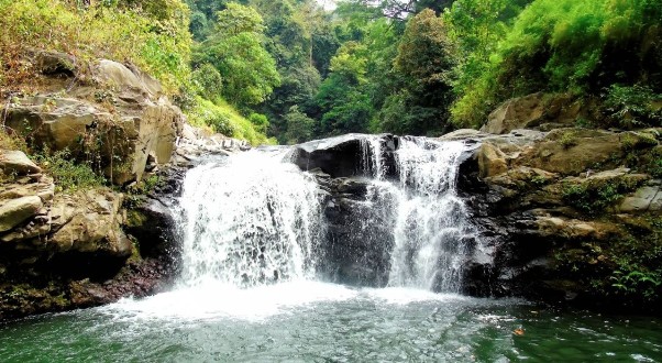 Air Terjun Kedung Amis, 1. Padang Rumput Savana, 2. Probolinggo Punya Miniatur Pulau Madura, Gili Ketapang, 3. Objek Wisata Gunung Bromo, 4. Menikmati Keindahan Puncak B29 Bromo, 5. Wisata Alam Air Terjun Madakaripura, 6. Wisata Air Terjun Umbulan, 7. Liburan Seru ke Gunung Argopuro, 8. Danau Taman Hidup, 9. Air Terjun Watu Lawang, 10. Air Terjun Triban, 11. Air Terjun Kedung Amis, 12. Air Terjun Sumber Pakis II, 13. Berlama-lama di Pantai Bentar, 14. Bukit Bentar Probolinggo, 15. Menikmati Kesejukan Kebun Teh Andung Biru, 16. Relaksasi di Pemandian Air Panas Desa Tiris, 17. Coba Tantangan Arung Jeram Sungai Pekalen, 18. Air Terjun Darungan, 19. Air Terjun Kali Pedati, 20. Danau Ronggojalu, 21. Danau Agung, 22. Ranu Segaran, 23. Menilik Sejarah di Candi Jabung, 24. Candi Kedaton, 25. Taman Wisata Studi Lingkungan (TWSL), 26. Agrowisata Sumberbendo, 27. Liburan Bersejarah di Museum Probolinggo, 28. Nongkrong di Alun-Alun Probolinggo, 29. Mandi-mandi di Kolam Renang TRA, 30. Wisata Mangrove BJBR Probolinggo, 31. Madakaripura Forest Park, 32. Mahoni Grand Park, 33. Masjid Tiban Babussalam, 34. Museum Dr. Mohammad Saleh, 35. Pelabuhan Tanjung Tembaga, 36. Wisata Ranu Merah, 37. B-30 Gunung Bromo, 38. Bromo Terrace, 39. Jiwa Jawa Resort Bromo, 40. Pagupon Bromo Budget Lodge, 41. Air Terjun Jaran Goyang, 42. Bermi Mini Land, 43. Pantai Duta, 44. Pantai Tambak Sari, 45. Gunung Batok, 46. Cikasur, 47. Hutan Damar, 48. Bromo Camp House, 49. Air Terjun Buto Ijo, 50. Air Terjun Dalem, 51. Jembatan Biru Ranon, 52. Wisata Agropolitan, 53. Sumber Naga