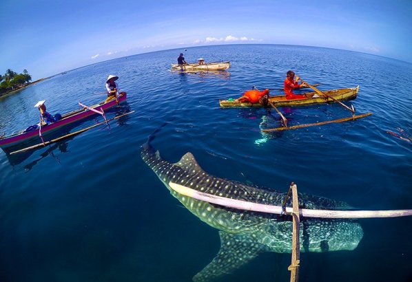 Berlama-lama di Pantai Bentar via Arah, 1. Padang Rumput Savana, 2. Probolinggo Punya Miniatur Pulau Madura, Gili Ketapang, 3. Objek Wisata Gunung Bromo, 4. Menikmati Keindahan Puncak B29 Bromo, 5. Wisata Alam Air Terjun Madakaripura, 6. Wisata Air Terjun Umbulan, 7. Liburan Seru ke Gunung Argopuro, 8. Danau Taman Hidup, 9. Air Terjun Watu Lawang, 10. Air Terjun Triban, 11. Air Terjun Kedung Amis, 12. Air Terjun Sumber Pakis II, 13. Berlama-lama di Pantai Bentar, 14. Bukit Bentar Probolinggo, 15. Menikmati Kesejukan Kebun Teh Andung Biru, 16. Relaksasi di Pemandian Air Panas Desa Tiris, 17. Coba Tantangan Arung Jeram Sungai Pekalen, 18. Air Terjun Darungan, 19. Air Terjun Kali Pedati, 20. Danau Ronggojalu, 21. Danau Agung, 22. Ranu Segaran, 23. Menilik Sejarah di Candi Jabung, 24. Candi Kedaton, 25. Taman Wisata Studi Lingkungan (TWSL), 26. Agrowisata Sumberbendo, 27. Liburan Bersejarah di Museum Probolinggo, 28. Nongkrong di Alun-Alun Probolinggo, 29. Mandi-mandi di Kolam Renang TRA, 30. Wisata Mangrove BJBR Probolinggo, 31. Madakaripura Forest Park, 32. Mahoni Grand Park, 33. Masjid Tiban Babussalam, 34. Museum Dr. Mohammad Saleh, 35. Pelabuhan Tanjung Tembaga, 36. Wisata Ranu Merah, 37. B-30 Gunung Bromo, 38. Bromo Terrace, 39. Jiwa Jawa Resort Bromo, 40. Pagupon Bromo Budget Lodge, 41. Air Terjun Jaran Goyang, 42. Bermi Mini Land, 43. Pantai Duta, 44. Pantai Tambak Sari, 45. Gunung Batok, 46. Cikasur, 47. Hutan Damar, 48. Bromo Camp House, 49. Air Terjun Buto Ijo, 50. Air Terjun Dalem, 51. Jembatan Biru Ranon, 52. Wisata Agropolitan, 53. Sumber Naga