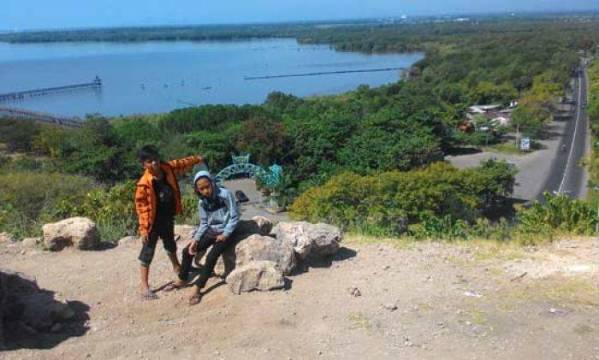 Bukit Bentar Probolinggo, 1. Padang Rumput Savana, 2. Probolinggo Punya Miniatur Pulau Madura, Gili Ketapang, 3. Objek Wisata Gunung Bromo, 4. Menikmati Keindahan Puncak B29 Bromo, 5. Wisata Alam Air Terjun Madakaripura, 6. Wisata Air Terjun Umbulan, 7. Liburan Seru ke Gunung Argopuro, 8. Danau Taman Hidup, 9. Air Terjun Watu Lawang, 10. Air Terjun Triban, 11. Air Terjun Kedung Amis, 12. Air Terjun Sumber Pakis II, 13. Berlama-lama di Pantai Bentar, 14. Bukit Bentar Probolinggo, 15. Menikmati Kesejukan Kebun Teh Andung Biru, 16. Relaksasi di Pemandian Air Panas Desa Tiris, 17. Coba Tantangan Arung Jeram Sungai Pekalen, 18. Air Terjun Darungan, 19. Air Terjun Kali Pedati, 20. Danau Ronggojalu, 21. Danau Agung, 22. Ranu Segaran, 23. Menilik Sejarah di Candi Jabung, 24. Candi Kedaton, 25. Taman Wisata Studi Lingkungan (TWSL), 26. Agrowisata Sumberbendo, 27. Liburan Bersejarah di Museum Probolinggo, 28. Nongkrong di Alun-Alun Probolinggo, 29. Mandi-mandi di Kolam Renang TRA, 30. Wisata Mangrove BJBR Probolinggo, 31. Madakaripura Forest Park, 32. Mahoni Grand Park, 33. Masjid Tiban Babussalam, 34. Museum Dr. Mohammad Saleh, 35. Pelabuhan Tanjung Tembaga, 36. Wisata Ranu Merah, 37. B-30 Gunung Bromo, 38. Bromo Terrace, 39. Jiwa Jawa Resort Bromo, 40. Pagupon Bromo Budget Lodge, 41. Air Terjun Jaran Goyang, 42. Bermi Mini Land, 43. Pantai Duta, 44. Pantai Tambak Sari, 45. Gunung Batok, 46. Cikasur, 47. Hutan Damar, 48. Bromo Camp House, 49. Air Terjun Buto Ijo, 50. Air Terjun Dalem, 51. Jembatan Biru Ranon, 52. Wisata Agropolitan, 53. Sumber Naga