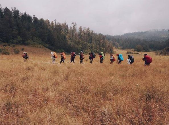 Cikasur via Mounture, 1. Padang Rumput Savana, 2. Probolinggo Punya Miniatur Pulau Madura, Gili Ketapang, 3. Objek Wisata Gunung Bromo, 4. Menikmati Keindahan Puncak B29 Bromo, 5. Wisata Alam Air Terjun Madakaripura, 6. Wisata Air Terjun Umbulan, 7. Liburan Seru ke Gunung Argopuro, 8. Danau Taman Hidup, 9. Air Terjun Watu Lawang, 10. Air Terjun Triban, 11. Air Terjun Kedung Amis, 12. Air Terjun Sumber Pakis II, 13. Berlama-lama di Pantai Bentar, 14. Bukit Bentar Probolinggo, 15. Menikmati Kesejukan Kebun Teh Andung Biru, 16. Relaksasi di Pemandian Air Panas Desa Tiris, 17. Coba Tantangan Arung Jeram Sungai Pekalen, 18. Air Terjun Darungan, 19. Air Terjun Kali Pedati, 20. Danau Ronggojalu, 21. Danau Agung, 22. Ranu Segaran, 23. Menilik Sejarah di Candi Jabung, 24. Candi Kedaton, 25. Taman Wisata Studi Lingkungan (TWSL), 26. Agrowisata Sumberbendo, 27. Liburan Bersejarah di Museum Probolinggo, 28. Nongkrong di Alun-Alun Probolinggo, 29. Mandi-mandi di Kolam Renang TRA, 30. Wisata Mangrove BJBR Probolinggo, 31. Madakaripura Forest Park, 32. Mahoni Grand Park, 33. Masjid Tiban Babussalam, 34. Museum Dr. Mohammad Saleh, 35. Pelabuhan Tanjung Tembaga, 36. Wisata Ranu Merah, 37. B-30 Gunung Bromo, 38. Bromo Terrace, 39. Jiwa Jawa Resort Bromo, 40. Pagupon Bromo Budget Lodge, 41. Air Terjun Jaran Goyang, 42. Bermi Mini Land, 43. Pantai Duta, 44. Pantai Tambak Sari, 45. Gunung Batok, 46. Cikasur, 47. Hutan Damar, 48. Bromo Camp House, 49. Air Terjun Buto Ijo, 50. Air Terjun Dalem, 51. Jembatan Biru Ranon, 52. Wisata Agropolitan, 53. Sumber Naga