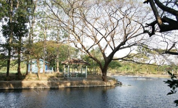 Danau Ronggojalu, 1. Padang Rumput Savana, 2. Probolinggo Punya Miniatur Pulau Madura, Gili Ketapang, 3. Objek Wisata Gunung Bromo, 4. Menikmati Keindahan Puncak B29 Bromo, 5. Wisata Alam Air Terjun Madakaripura, 6. Wisata Air Terjun Umbulan, 7. Liburan Seru ke Gunung Argopuro, 8. Danau Taman Hidup, 9. Air Terjun Watu Lawang, 10. Air Terjun Triban, 11. Air Terjun Kedung Amis, 12. Air Terjun Sumber Pakis II, 13. Berlama-lama di Pantai Bentar, 14. Bukit Bentar Probolinggo, 15. Menikmati Kesejukan Kebun Teh Andung Biru, 16. Relaksasi di Pemandian Air Panas Desa Tiris, 17. Coba Tantangan Arung Jeram Sungai Pekalen, 18. Air Terjun Darungan, 19. Air Terjun Kali Pedati, 20. Danau Ronggojalu, 21. Danau Agung, 22. Ranu Segaran, 23. Menilik Sejarah di Candi Jabung, 24. Candi Kedaton, 25. Taman Wisata Studi Lingkungan (TWSL), 26. Agrowisata Sumberbendo, 27. Liburan Bersejarah di Museum Probolinggo, 28. Nongkrong di Alun-Alun Probolinggo, 29. Mandi-mandi di Kolam Renang TRA, 30. Wisata Mangrove BJBR Probolinggo, 31. Madakaripura Forest Park, 32. Mahoni Grand Park, 33. Masjid Tiban Babussalam, 34. Museum Dr. Mohammad Saleh, 35. Pelabuhan Tanjung Tembaga, 36. Wisata Ranu Merah, 37. B-30 Gunung Bromo, 38. Bromo Terrace, 39. Jiwa Jawa Resort Bromo, 40. Pagupon Bromo Budget Lodge, 41. Air Terjun Jaran Goyang, 42. Bermi Mini Land, 43. Pantai Duta, 44. Pantai Tambak Sari, 45. Gunung Batok, 46. Cikasur, 47. Hutan Damar, 48. Bromo Camp House, 49. Air Terjun Buto Ijo, 50. Air Terjun Dalem, 51. Jembatan Biru Ranon, 52. Wisata Agropolitan, 53. Sumber Naga