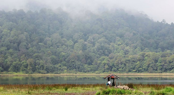 Danau Taman Hidup via endlee probolinggo, 1. Padang Rumput Savana, 2. Probolinggo Punya Miniatur Pulau Madura, Gili Ketapang, 3. Objek Wisata Gunung Bromo, 4. Menikmati Keindahan Puncak B29 Bromo, 5. Wisata Alam Air Terjun Madakaripura, 6. Wisata Air Terjun Umbulan, 7. Liburan Seru ke Gunung Argopuro, 8. Danau Taman Hidup, 9. Air Terjun Watu Lawang, 10. Air Terjun Triban, 11. Air Terjun Kedung Amis, 12. Air Terjun Sumber Pakis II, 13. Berlama-lama di Pantai Bentar, 14. Bukit Bentar Probolinggo, 15. Menikmati Kesejukan Kebun Teh Andung Biru, 16. Relaksasi di Pemandian Air Panas Desa Tiris, 17. Coba Tantangan Arung Jeram Sungai Pekalen, 18. Air Terjun Darungan, 19. Air Terjun Kali Pedati, 20. Danau Ronggojalu, 21. Danau Agung, 22. Ranu Segaran, 23. Menilik Sejarah di Candi Jabung, 24. Candi Kedaton, 25. Taman Wisata Studi Lingkungan (TWSL), 26. Agrowisata Sumberbendo, 27. Liburan Bersejarah di Museum Probolinggo, 28. Nongkrong di Alun-Alun Probolinggo, 29. Mandi-mandi di Kolam Renang TRA, 30. Wisata Mangrove BJBR Probolinggo, 31. Madakaripura Forest Park, 32. Mahoni Grand Park, 33. Masjid Tiban Babussalam, 34. Museum Dr. Mohammad Saleh, 35. Pelabuhan Tanjung Tembaga, 36. Wisata Ranu Merah, 37. B-30 Gunung Bromo, 38. Bromo Terrace, 39. Jiwa Jawa Resort Bromo, 40. Pagupon Bromo Budget Lodge, 41. Air Terjun Jaran Goyang, 42. Bermi Mini Land, 43. Pantai Duta, 44. Pantai Tambak Sari, 45. Gunung Batok, 46. Cikasur, 47. Hutan Damar, 48. Bromo Camp House, 49. Air Terjun Buto Ijo, 50. Air Terjun Dalem, 51. Jembatan Biru Ranon, 52. Wisata Agropolitan, 53. Sumber Naga