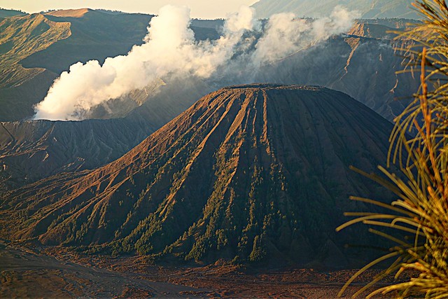 Gunung Batok, 1. Padang Rumput Savana, 2. Probolinggo Punya Miniatur Pulau Madura, Gili Ketapang, 3. Objek Wisata Gunung Bromo, 4. Menikmati Keindahan Puncak B29 Bromo, 5. Wisata Alam Air Terjun Madakaripura, 6. Wisata Air Terjun Umbulan, 7. Liburan Seru ke Gunung Argopuro, 8. Danau Taman Hidup, 9. Air Terjun Watu Lawang, 10. Air Terjun Triban, 11. Air Terjun Kedung Amis, 12. Air Terjun Sumber Pakis II, 13. Berlama-lama di Pantai Bentar, 14. Bukit Bentar Probolinggo, 15. Menikmati Kesejukan Kebun Teh Andung Biru, 16. Relaksasi di Pemandian Air Panas Desa Tiris, 17. Coba Tantangan Arung Jeram Sungai Pekalen, 18. Air Terjun Darungan, 19. Air Terjun Kali Pedati, 20. Danau Ronggojalu, 21. Danau Agung, 22. Ranu Segaran, 23. Menilik Sejarah di Candi Jabung, 24. Candi Kedaton, 25. Taman Wisata Studi Lingkungan (TWSL), 26. Agrowisata Sumberbendo, 27. Liburan Bersejarah di Museum Probolinggo, 28. Nongkrong di Alun-Alun Probolinggo, 29. Mandi-mandi di Kolam Renang TRA, 30. Wisata Mangrove BJBR Probolinggo, 31. Madakaripura Forest Park, 32. Mahoni Grand Park, 33. Masjid Tiban Babussalam, 34. Museum Dr. Mohammad Saleh, 35. Pelabuhan Tanjung Tembaga, 36. Wisata Ranu Merah, 37. B-30 Gunung Bromo, 38. Bromo Terrace, 39. Jiwa Jawa Resort Bromo, 40. Pagupon Bromo Budget Lodge, 41. Air Terjun Jaran Goyang, 42. Bermi Mini Land, 43. Pantai Duta, 44. Pantai Tambak Sari, 45. Gunung Batok, 46. Cikasur, 47. Hutan Damar, 48. Bromo Camp House, 49. Air Terjun Buto Ijo, 50. Air Terjun Dalem, 51. Jembatan Biru Ranon, 52. Wisata Agropolitan, 53. Sumber Naga