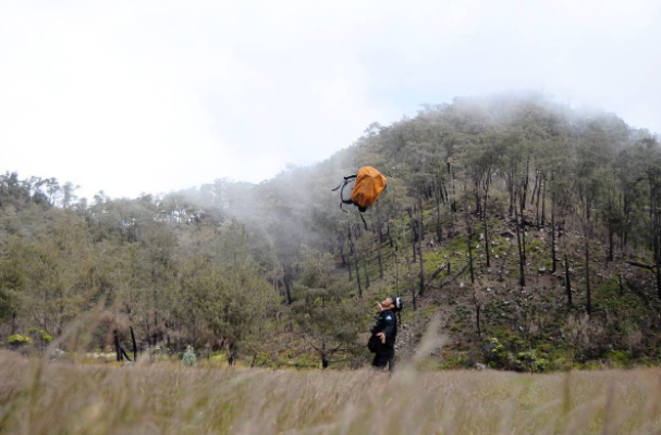 Liburan Seru ke Gunung Argopuro via @diopramudya, 1. Padang Rumput Savana, 2. Probolinggo Punya Miniatur Pulau Madura, Gili Ketapang, 3. Objek Wisata Gunung Bromo, 4. Menikmati Keindahan Puncak B29 Bromo, 5. Wisata Alam Air Terjun Madakaripura, 6. Wisata Air Terjun Umbulan, 7. Liburan Seru ke Gunung Argopuro, 8. Danau Taman Hidup, 9. Air Terjun Watu Lawang, 10. Air Terjun Triban, 11. Air Terjun Kedung Amis, 12. Air Terjun Sumber Pakis II, 13. Berlama-lama di Pantai Bentar, 14. Bukit Bentar Probolinggo, 15. Menikmati Kesejukan Kebun Teh Andung Biru, 16. Relaksasi di Pemandian Air Panas Desa Tiris, 17. Coba Tantangan Arung Jeram Sungai Pekalen, 18. Air Terjun Darungan, 19. Air Terjun Kali Pedati, 20. Danau Ronggojalu, 21. Danau Agung, 22. Ranu Segaran, 23. Menilik Sejarah di Candi Jabung, 24. Candi Kedaton, 25. Taman Wisata Studi Lingkungan (TWSL), 26. Agrowisata Sumberbendo, 27. Liburan Bersejarah di Museum Probolinggo, 28. Nongkrong di Alun-Alun Probolinggo, 29. Mandi-mandi di Kolam Renang TRA, 30. Wisata Mangrove BJBR Probolinggo, 31. Madakaripura Forest Park, 32. Mahoni Grand Park, 33. Masjid Tiban Babussalam, 34. Museum Dr. Mohammad Saleh, 35. Pelabuhan Tanjung Tembaga, 36. Wisata Ranu Merah, 37. B-30 Gunung Bromo, 38. Bromo Terrace, 39. Jiwa Jawa Resort Bromo, 40. Pagupon Bromo Budget Lodge, 41. Air Terjun Jaran Goyang, 42. Bermi Mini Land, 43. Pantai Duta, 44. Pantai Tambak Sari, 45. Gunung Batok, 46. Cikasur, 47. Hutan Damar, 48. Bromo Camp House, 49. Air Terjun Buto Ijo, 50. Air Terjun Dalem, 51. Jembatan Biru Ranon, 52. Wisata Agropolitan, 53. Sumber Naga