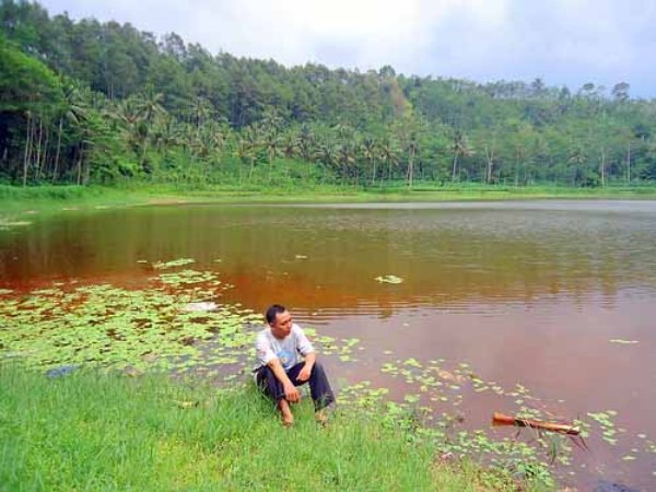 Objek Wisata Ranu Merah, 1. Padang Rumput Savana, 2. Probolinggo Punya Miniatur Pulau Madura, Gili Ketapang, 3. Objek Wisata Gunung Bromo, 4. Menikmati Keindahan Puncak B29 Bromo, 5. Wisata Alam Air Terjun Madakaripura, 6. Wisata Air Terjun Umbulan, 7. Liburan Seru ke Gunung Argopuro, 8. Danau Taman Hidup, 9. Air Terjun Watu Lawang, 10. Air Terjun Triban, 11. Air Terjun Kedung Amis, 12. Air Terjun Sumber Pakis II, 13. Berlama-lama di Pantai Bentar, 14. Bukit Bentar Probolinggo, 15. Menikmati Kesejukan Kebun Teh Andung Biru, 16. Relaksasi di Pemandian Air Panas Desa Tiris, 17. Coba Tantangan Arung Jeram Sungai Pekalen, 18. Air Terjun Darungan, 19. Air Terjun Kali Pedati, 20. Danau Ronggojalu, 21. Danau Agung, 22. Ranu Segaran, 23. Menilik Sejarah di Candi Jabung, 24. Candi Kedaton, 25. Taman Wisata Studi Lingkungan (TWSL), 26. Agrowisata Sumberbendo, 27. Liburan Bersejarah di Museum Probolinggo, 28. Nongkrong di Alun-Alun Probolinggo, 29. Mandi-mandi di Kolam Renang TRA, 30. Wisata Mangrove BJBR Probolinggo, 31. Madakaripura Forest Park, 32. Mahoni Grand Park, 33. Masjid Tiban Babussalam, 34. Museum Dr. Mohammad Saleh, 35. Pelabuhan Tanjung Tembaga, 36. Wisata Ranu Merah, 37. B-30 Gunung Bromo, 38. Bromo Terrace, 39. Jiwa Jawa Resort Bromo, 40. Pagupon Bromo Budget Lodge, 41. Air Terjun Jaran Goyang, 42. Bermi Mini Land, 43. Pantai Duta, 44. Pantai Tambak Sari, 45. Gunung Batok, 46. Cikasur, 47. Hutan Damar, 48. Bromo Camp House, 49. Air Terjun Buto Ijo, 50. Air Terjun Dalem, 51. Jembatan Biru Ranon, 52. Wisata Agropolitan, 53. Sumber Naga