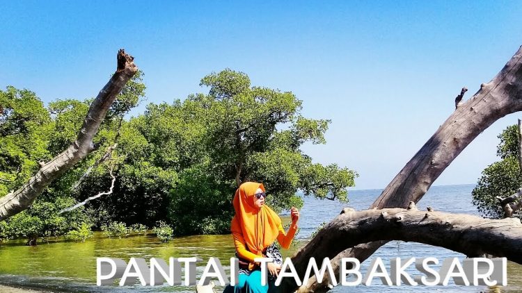 Pantai Tambak Sari via Youtube, 1. Padang Rumput Savana, 2. Probolinggo Punya Miniatur Pulau Madura, Gili Ketapang, 3. Objek Wisata Gunung Bromo, 4. Menikmati Keindahan Puncak B29 Bromo, 5. Wisata Alam Air Terjun Madakaripura, 6. Wisata Air Terjun Umbulan, 7. Liburan Seru ke Gunung Argopuro, 8. Danau Taman Hidup, 9. Air Terjun Watu Lawang, 10. Air Terjun Triban, 11. Air Terjun Kedung Amis, 12. Air Terjun Sumber Pakis II, 13. Berlama-lama di Pantai Bentar, 14. Bukit Bentar Probolinggo, 15. Menikmati Kesejukan Kebun Teh Andung Biru, 16. Relaksasi di Pemandian Air Panas Desa Tiris, 17. Coba Tantangan Arung Jeram Sungai Pekalen, 18. Air Terjun Darungan, 19. Air Terjun Kali Pedati, 20. Danau Ronggojalu, 21. Danau Agung, 22. Ranu Segaran, 23. Menilik Sejarah di Candi Jabung, 24. Candi Kedaton, 25. Taman Wisata Studi Lingkungan (TWSL), 26. Agrowisata Sumberbendo, 27. Liburan Bersejarah di Museum Probolinggo, 28. Nongkrong di Alun-Alun Probolinggo, 29. Mandi-mandi di Kolam Renang TRA, 30. Wisata Mangrove BJBR Probolinggo, 31. Madakaripura Forest Park, 32. Mahoni Grand Park, 33. Masjid Tiban Babussalam, 34. Museum Dr. Mohammad Saleh, 35. Pelabuhan Tanjung Tembaga, 36. Wisata Ranu Merah, 37. B-30 Gunung Bromo, 38. Bromo Terrace, 39. Jiwa Jawa Resort Bromo, 40. Pagupon Bromo Budget Lodge, 41. Air Terjun Jaran Goyang, 42. Bermi Mini Land, 43. Pantai Duta, 44. Pantai Tambak Sari, 45. Gunung Batok, 46. Cikasur, 47. Hutan Damar, 48. Bromo Camp House, 49. Air Terjun Buto Ijo, 50. Air Terjun Dalem, 51. Jembatan Biru Ranon, 52. Wisata Agropolitan, 53. Sumber Naga