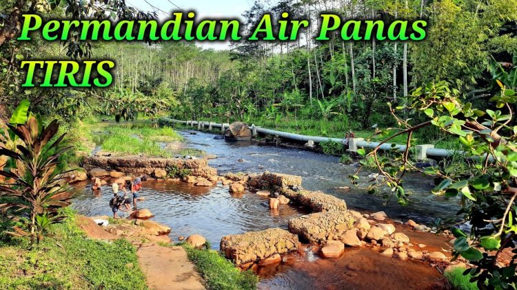Relaksasi di Pemandian Air Panas Desa Tiris via Youtube, 1. Padang Rumput Savana, 2. Probolinggo Punya Miniatur Pulau Madura, Gili Ketapang, 3. Objek Wisata Gunung Bromo, 4. Menikmati Keindahan Puncak B29 Bromo, 5. Wisata Alam Air Terjun Madakaripura, 6. Wisata Air Terjun Umbulan, 7. Liburan Seru ke Gunung Argopuro, 8. Danau Taman Hidup, 9. Air Terjun Watu Lawang, 10. Air Terjun Triban, 11. Air Terjun Kedung Amis, 12. Air Terjun Sumber Pakis II, 13. Berlama-lama di Pantai Bentar, 14. Bukit Bentar Probolinggo, 15. Menikmati Kesejukan Kebun Teh Andung Biru, 16. Relaksasi di Pemandian Air Panas Desa Tiris, 17. Coba Tantangan Arung Jeram Sungai Pekalen, 18. Air Terjun Darungan, 19. Air Terjun Kali Pedati, 20. Danau Ronggojalu, 21. Danau Agung, 22. Ranu Segaran, 23. Menilik Sejarah di Candi Jabung, 24. Candi Kedaton, 25. Taman Wisata Studi Lingkungan (TWSL), 26. Agrowisata Sumberbendo, 27. Liburan Bersejarah di Museum Probolinggo, 28. Nongkrong di Alun-Alun Probolinggo, 29. Mandi-mandi di Kolam Renang TRA, 30. Wisata Mangrove BJBR Probolinggo, 31. Madakaripura Forest Park, 32. Mahoni Grand Park, 33. Masjid Tiban Babussalam, 34. Museum Dr. Mohammad Saleh, 35. Pelabuhan Tanjung Tembaga, 36. Wisata Ranu Merah, 37. B-30 Gunung Bromo, 38. Bromo Terrace, 39. Jiwa Jawa Resort Bromo, 40. Pagupon Bromo Budget Lodge, 41. Air Terjun Jaran Goyang, 42. Bermi Mini Land, 43. Pantai Duta, 44. Pantai Tambak Sari, 45. Gunung Batok, 46. Cikasur, 47. Hutan Damar, 48. Bromo Camp House, 49. Air Terjun Buto Ijo, 50. Air Terjun Dalem, 51. Jembatan Biru Ranon, 52. Wisata Agropolitan, 53. Sumber Naga