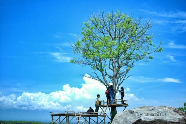 Taman Wisata Gunung Kendil via @ahmadafif, 1. Gunung Wilis, 2. Wisata Alam Grape, 3. Waduk Bening Widas, 4. Waduk Kedungbrubus, 5. Taman Wisata Gunung Kendil, 6. Air Terjun Banyulawe Dong, 7. Air Terjun Kucur, 8. Air Terjun Seweru, 9. Air Terjun Krecekan Denu, 10. Taman Rekreasi Wisata Umbul