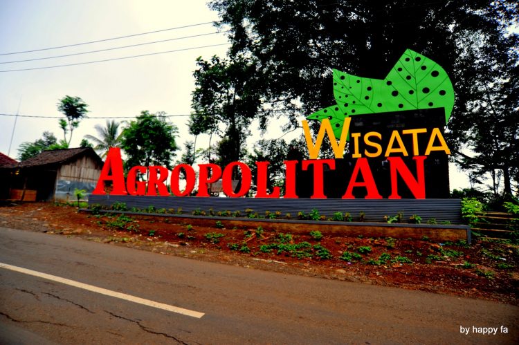 Wisata Agropolitan via Happy Family, 1. Padang Rumput Savana, 2. Probolinggo Punya Miniatur Pulau Madura, Gili Ketapang, 3. Objek Wisata Gunung Bromo, 4. Menikmati Keindahan Puncak B29 Bromo, 5. Wisata Alam Air Terjun Madakaripura, 6. Wisata Air Terjun Umbulan, 7. Liburan Seru ke Gunung Argopuro, 8. Danau Taman Hidup, 9. Air Terjun Watu Lawang, 10. Air Terjun Triban, 11. Air Terjun Kedung Amis, 12. Air Terjun Sumber Pakis II, 13. Berlama-lama di Pantai Bentar, 14. Bukit Bentar Probolinggo, 15. Menikmati Kesejukan Kebun Teh Andung Biru, 16. Relaksasi di Pemandian Air Panas Desa Tiris, 17. Coba Tantangan Arung Jeram Sungai Pekalen, 18. Air Terjun Darungan, 19. Air Terjun Kali Pedati, 20. Danau Ronggojalu, 21. Danau Agung, 22. Ranu Segaran, 23. Menilik Sejarah di Candi Jabung, 24. Candi Kedaton, 25. Taman Wisata Studi Lingkungan (TWSL), 26. Agrowisata Sumberbendo, 27. Liburan Bersejarah di Museum Probolinggo, 28. Nongkrong di Alun-Alun Probolinggo, 29. Mandi-mandi di Kolam Renang TRA, 30. Wisata Mangrove BJBR Probolinggo, 31. Madakaripura Forest Park, 32. Mahoni Grand Park, 33. Masjid Tiban Babussalam, 34. Museum Dr. Mohammad Saleh, 35. Pelabuhan Tanjung Tembaga, 36. Wisata Ranu Merah, 37. B-30 Gunung Bromo, 38. Bromo Terrace, 39. Jiwa Jawa Resort Bromo, 40. Pagupon Bromo Budget Lodge, 41. Air Terjun Jaran Goyang, 42. Bermi Mini Land, 43. Pantai Duta, 44. Pantai Tambak Sari, 45. Gunung Batok, 46. Cikasur, 47. Hutan Damar, 48. Bromo Camp House, 49. Air Terjun Buto Ijo, 50. Air Terjun Dalem, 51. Jembatan Biru Ranon, 52. Wisata Agropolitan, 53. Sumber Naga
