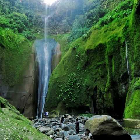 Wisata Air Terjun Umbulan, 1. Padang Rumput Savana, 2. Probolinggo Punya Miniatur Pulau Madura, Gili Ketapang, 3. Objek Wisata Gunung Bromo, 4. Menikmati Keindahan Puncak B29 Bromo, 5. Wisata Alam Air Terjun Madakaripura, 6. Wisata Air Terjun Umbulan, 7. Liburan Seru ke Gunung Argopuro, 8. Danau Taman Hidup, 9. Air Terjun Watu Lawang, 10. Air Terjun Triban, 11. Air Terjun Kedung Amis, 12. Air Terjun Sumber Pakis II, 13. Berlama-lama di Pantai Bentar, 14. Bukit Bentar Probolinggo, 15. Menikmati Kesejukan Kebun Teh Andung Biru, 16. Relaksasi di Pemandian Air Panas Desa Tiris, 17. Coba Tantangan Arung Jeram Sungai Pekalen, 18. Air Terjun Darungan, 19. Air Terjun Kali Pedati, 20. Danau Ronggojalu, 21. Danau Agung, 22. Ranu Segaran, 23. Menilik Sejarah di Candi Jabung, 24. Candi Kedaton, 25. Taman Wisata Studi Lingkungan (TWSL), 26. Agrowisata Sumberbendo, 27. Liburan Bersejarah di Museum Probolinggo, 28. Nongkrong di Alun-Alun Probolinggo, 29. Mandi-mandi di Kolam Renang TRA, 30. Wisata Mangrove BJBR Probolinggo, 31. Madakaripura Forest Park, 32. Mahoni Grand Park, 33. Masjid Tiban Babussalam, 34. Museum Dr. Mohammad Saleh, 35. Pelabuhan Tanjung Tembaga, 36. Wisata Ranu Merah, 37. B-30 Gunung Bromo, 38. Bromo Terrace, 39. Jiwa Jawa Resort Bromo, 40. Pagupon Bromo Budget Lodge, 41. Air Terjun Jaran Goyang, 42. Bermi Mini Land, 43. Pantai Duta, 44. Pantai Tambak Sari, 45. Gunung Batok, 46. Cikasur, 47. Hutan Damar, 48. Bromo Camp House, 49. Air Terjun Buto Ijo, 50. Air Terjun Dalem, 51. Jembatan Biru Ranon, 52. Wisata Agropolitan, 53. Sumber Naga