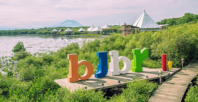 Wisata Mangrove BJBR Probolinggo, 1. Padang Rumput Savana, 2. Probolinggo Punya Miniatur Pulau Madura, Gili Ketapang, 3. Objek Wisata Gunung Bromo, 4. Menikmati Keindahan Puncak B29 Bromo, 5. Wisata Alam Air Terjun Madakaripura, 6. Wisata Air Terjun Umbulan, 7. Liburan Seru ke Gunung Argopuro, 8. Danau Taman Hidup, 9. Air Terjun Watu Lawang, 10. Air Terjun Triban, 11. Air Terjun Kedung Amis, 12. Air Terjun Sumber Pakis II, 13. Berlama-lama di Pantai Bentar, 14. Bukit Bentar Probolinggo, 15. Menikmati Kesejukan Kebun Teh Andung Biru, 16. Relaksasi di Pemandian Air Panas Desa Tiris, 17. Coba Tantangan Arung Jeram Sungai Pekalen, 18. Air Terjun Darungan, 19. Air Terjun Kali Pedati, 20. Danau Ronggojalu, 21. Danau Agung, 22. Ranu Segaran, 23. Menilik Sejarah di Candi Jabung, 24. Candi Kedaton, 25. Taman Wisata Studi Lingkungan (TWSL), 26. Agrowisata Sumberbendo, 27. Liburan Bersejarah di Museum Probolinggo, 28. Nongkrong di Alun-Alun Probolinggo, 29. Mandi-mandi di Kolam Renang TRA, 30. Wisata Mangrove BJBR Probolinggo, 31. Madakaripura Forest Park, 32. Mahoni Grand Park, 33. Masjid Tiban Babussalam, 34. Museum Dr. Mohammad Saleh, 35. Pelabuhan Tanjung Tembaga, 36. Wisata Ranu Merah, 37. B-30 Gunung Bromo, 38. Bromo Terrace, 39. Jiwa Jawa Resort Bromo, 40. Pagupon Bromo Budget Lodge, 41. Air Terjun Jaran Goyang, 42. Bermi Mini Land, 43. Pantai Duta, 44. Pantai Tambak Sari, 45. Gunung Batok, 46. Cikasur, 47. Hutan Damar, 48. Bromo Camp House, 49. Air Terjun Buto Ijo, 50. Air Terjun Dalem, 51. Jembatan Biru Ranon, 52. Wisata Agropolitan, 53. Sumber Naga