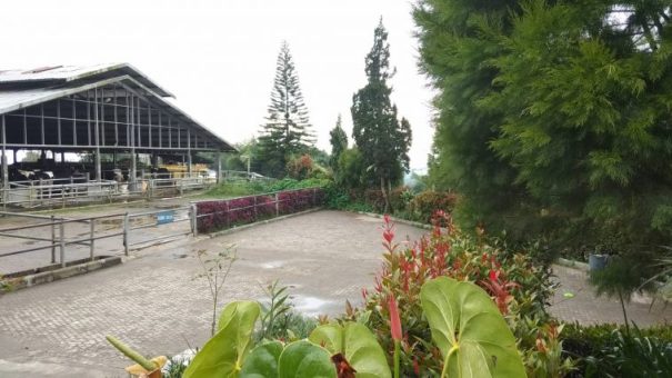 Gundaling Farm Berastagi, 1. Objek Wisata Bukit Gundaling, 2. Destinasi Wisata Desa Peceren, 3. Liburan Seru ke Taman Alam Lumbini, 4. Wisata Sejarah di Museum Pusaka Karo Berastagi, 5. Mengunjungi Gunung Sinabung, 6. Pemandian Air Panas Lau Sidebuk – Debuk, 7. Wahana Liburan Funland Mickey Holiday, 8. Bersantai di Bukit Kubu Berastagi, 9. Menikmati Sajian Wisata Kuliner di Panatapan, 10. Pasar Buah Berastagi, 11. Spot Wisata Danau Lau Kawar, 12. Wisata Alami Air Terjun Sikulikap, 13. Gereja Inkultruratif Karo Santo Fransiskus Asisi, 14. Gundaling Farm Berastagi, 15. Berkunjung ke Kebun Raya Tongkoh, 16. Mengunjungi Kampung Tradisional Desa Lingga, 17. Trekking ke Gunung Sibayak, 18. Air Terjun Dua Warna Nan Eksotis, 19. Objek Wisata Alam Air Terjun Batu Belah, 20. Sinabung Hill Resort, 21. Penatapan, 22. Rindu Alam Resort, 23. Kebun Madu Efi, 24. Sapo Juma