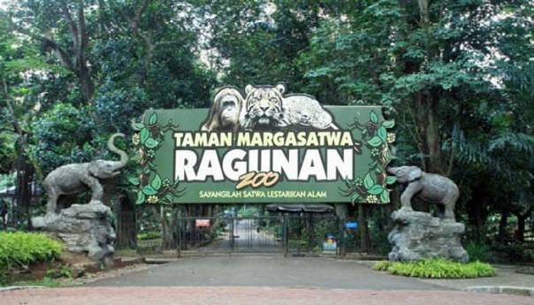 Liburan Seru ke Kebun Binatang Ragunan via wisatajakartablog, 1. Taman Margasatwa Ragunan, 2. Tebet Eco Park, 3. Taman Menteng, 4. Kidzania Jakarta, 5. Museum Layang-layang Indonesia, 6. Playparq Kemang, 7. KidCity Transmart Cilandak, 8. Taman Langsat, 9. Taman Spathodea, 10. Hauwke’s Auto Gallery, 11. Setu Babakan, 12. Museum Basoeki Abdullah, 13. Pusat Primata Schmutzer Jakarta, 14. Taman Tabebuya, 15. Museum Satria Mandala, 16. Pondok Indah Water Park, 17. Museum di Tengah Kebun, 18. Taman Ayodia, 19. The Playground, 20. Komunitas Salihara, 21. Museum Harry Darsono, 22. Monumen Patung Dirgantara ‘Tugu Pancoran Tebet’, 23. Taman Literasi Martha Christina Tiahahu, 24. Taman Mataram, 25. Kampung Main Cipulir, 26. Hutan Kota Srengseng Sawah, 27. The Escape Hunt (Tutup), 28. Taman Sepat Pasar Minggu, 28. Taman Tangkuban Perahu, 30. PINISI EDUTAINMENT PARK, 31. Speedy Karting Pancoran (Tutup), 32. Taman Dadap Merah, 33. Flight Experience Gandaria (Tutup), 34. Belanja di Kota Kasablanka, 35. Pasar Santa, 36. Jimbaran Outdoor Tanah Abang, 37. Kemang Food Festival, 38. Rooftop Lucy in The Sky, 39. Taman Tanjung, 40. Museum Reksa Artha