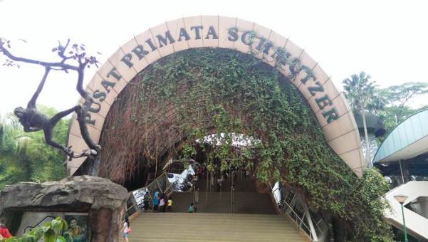 Menyambangi Schmutzer Primate Center via Wikimedia, 1. Taman Margasatwa Ragunan, 2. Tebet Eco Park, 3. Taman Menteng, 4. Kidzania Jakarta, 5. Museum Layang-layang Indonesia, 6. Playparq Kemang, 7. KidCity Transmart Cilandak, 8. Taman Langsat, 9. Taman Spathodea, 10. Hauwke’s Auto Gallery, 11. Setu Babakan, 12. Museum Basoeki Abdullah, 13. Pusat Primata Schmutzer Jakarta, 14. Taman Tabebuya, 15. Museum Satria Mandala, 16. Pondok Indah Water Park, 17. Museum di Tengah Kebun, 18. Taman Ayodia, 19. The Playground, 20. Komunitas Salihara, 21. Museum Harry Darsono, 22. Monumen Patung Dirgantara ‘Tugu Pancoran Tebet’, 23. Taman Literasi Martha Christina Tiahahu, 24. Taman Mataram, 25. Kampung Main Cipulir, 26. Hutan Kota Srengseng Sawah, 27. The Escape Hunt (Tutup), 28. Taman Sepat Pasar Minggu, 28. Taman Tangkuban Perahu, 30. PINISI EDUTAINMENT PARK, 31. Speedy Karting Pancoran (Tutup), 32. Taman Dadap Merah, 33. Flight Experience Gandaria (Tutup), 34. Belanja di Kota Kasablanka, 35. Pasar Santa, 36. Jimbaran Outdoor Tanah Abang, 37. Kemang Food Festival, 38. Rooftop Lucy in The Sky, 39. Taman Tanjung, 40. Museum Reksa Artha