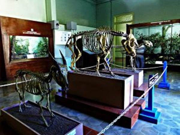 Museum Zoologi via Situsbudaya, 1. Taman Hewan Pematang Siantar, 2. Patung Dewi Kwan Im – Vihara Avalokitesvara, 3. Siantar Waterpark, 4. AIR TERJUN TURUNAN BUHIT (JABEL), 5. Air Terjun Tonduhan, 6. Air Terjun Mamabu, 7. Kebun Teh Sidamanik, 8. Pemandian Alam Aek Manik, 9. Air Terjun Bah Biak, 10. Taman BEO, 11. Pemandian Alam Swimbath, 12. Air Terjun Sampuran Widuri, 13. Museum Zoologi, 14. Museum Simalungun, 15. Pemandian Alam Sejuk (PAS), 17. Martoba Water Park, 18. Tugu Becak Pematang Siantar, 19. Air Terjun Sijambe, 20. Air Terjun Sipitu Tikka, 21. Pemandian Karang Anyar , 22. Bukit Indah Simarjarunjung, 23. Pemandian Pulau Batu, 24. Lapangan Merdeka Siantar – Taman Bunga, 25. PONDOK TEPI SAWAH