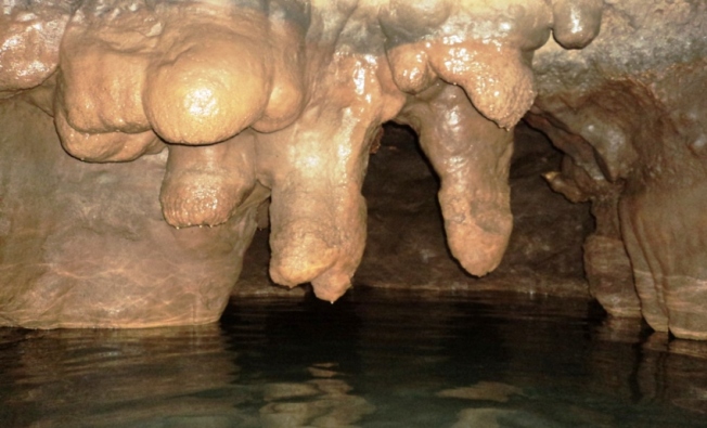 1. Air Terjun Tretes, 2. Candi Ngrimbi, 3. Goa Sigolo – Golo, 4. Goa Sriti, 5. Kedung Cinet, 6. Klenteng Hong San Kiong, 7. Gereja Mojowarno, 8. Makam Gunung Kuncung, 9. Sendang Made, 10. Sumber Penganten, 11. Tirta Wisata Keplaksari, 12. Dam Karet Sungai Brantas, 13. Masjid Agung Jombang, 14. Kelenteng Boo Hway Bio, 15. Segolo – Golo Eco Park, 16. Downhill Wana Wisata Panglungan, 17. Taman Kebon Ratu, 18. Kampoeng Djawi, 19. Kampung Durian, 20. Wana Wisata Air Sumberboto, 21. Kedung Sewu, 22. Air Terjun Sekar Pundak Sari, 23. Air Terjun Selo Lapis, 24. Air Terjun Grenjeng, 25. Air Terjun Sanggar, 26. Air Terjun Sikelip, 27. Alun – Alun Kota Jombang, 28. Ringin Contong, 29. Wisata Pujasera Kebon Rojo, 30. Air Terjun Sanggar, 31. Bukit Seloringgit, 32. Sendang Tlimo, 33. Alas Gedangan Mojoagung, 34. Waduk Jambe, 35. Embung Kudu, 36. Air Terjun Ngebleng, 37. Wisata Alam Banyu Mili, 38. Taman Ponggok Banjarsari, 39. Bukit Hijau Carangwulung, 40. Wisata Bale Tani Jombang, 41. Masjid Dr. H. Moeldoko, 42. Kawasan Makam Gus Dur, 43. Aquatics Pool, 44. Tirta Agung, 45. Banyu Biru