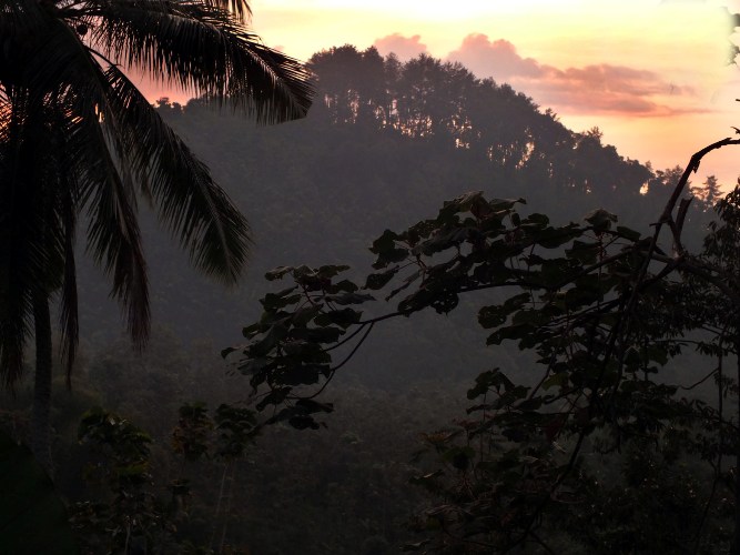 1. Air Terjun Tretes, 2. Candi Ngrimbi, 3. Goa Sigolo – Golo, 4. Goa Sriti, 5. Kedung Cinet, 6. Klenteng Hong San Kiong, 7. Gereja Mojowarno, 8. Makam Gunung Kuncung, 9. Sendang Made, 10. Sumber Penganten, 11. Tirta Wisata Keplaksari, 12. Dam Karet Sungai Brantas, 13. Masjid Agung Jombang, 14. Kelenteng Boo Hway Bio, 15. Segolo – Golo Eco Park, 16. Downhill Wana Wisata Panglungan, 17. Taman Kebon Ratu, 18. Kampoeng Djawi, 19. Kampung Durian, 20. Wana Wisata Air Sumberboto, 21. Kedung Sewu, 22. Air Terjun Sekar Pundak Sari, 23. Air Terjun Selo Lapis, 24. Air Terjun Grenjeng, 25. Air Terjun Sanggar, 26. Air Terjun Sikelip, 27. Alun – Alun Kota Jombang, 28. Ringin Contong, 29. Wisata Pujasera Kebon Rojo, 30. Air Terjun Sanggar, 31. Bukit Seloringgit, 32. Sendang Tlimo, 33. Alas Gedangan Mojoagung, 34. Waduk Jambe, 35. Embung Kudu, 36. Air Terjun Ngebleng, 37. Wisata Alam Banyu Mili, 38. Taman Ponggok Banjarsari, 39. Bukit Hijau Carangwulung, 40. Wisata Bale Tani Jombang, 41. Masjid Dr. H. Moeldoko, 42. Kawasan Makam Gus Dur, 43. Aquatics Pool, 44. Tirta Agung, 45. Banyu Biru