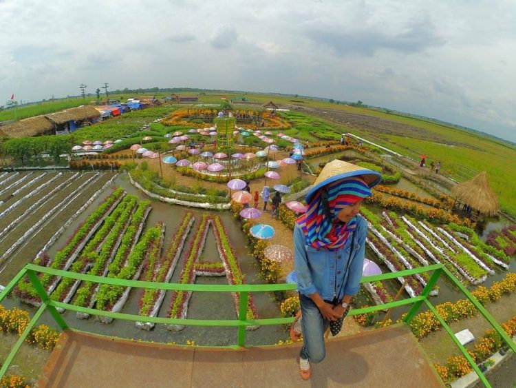 Taman Ponggok Banjarsari, 1. Air Terjun Tretes, 2. Candi Ngrimbi, 3. Goa Sigolo – Golo, 4. Goa Sriti, 5. Kedung Cinet, 6. Klenteng Hong San Kiong, 7. Gereja Mojowarno, 8. Makam Gunung Kuncung, 9. Sendang Made, 10. Sumber Penganten, 11. Tirta Wisata Keplaksari, 12. Dam Karet Sungai Brantas, 13. Masjid Agung Jombang, 14. Kelenteng Boo Hway Bio, 15. Segolo – Golo Eco Park, 16. Downhill Wana Wisata Panglungan, 17. Taman Kebon Ratu, 18. Kampoeng Djawi, 19. Kampung Durian, 20. Wana Wisata Air Sumberboto, 21. Kedung Sewu, 22. Air Terjun Sekar Pundak Sari, 23. Air Terjun Selo Lapis, 24. Air Terjun Grenjeng, 25. Air Terjun Sanggar, 26. Air Terjun Sikelip, 27. Alun – Alun Kota Jombang, 28. Ringin Contong, 29. Wisata Pujasera Kebon Rojo, 30. Air Terjun Sanggar, 31. Bukit Seloringgit, 32. Sendang Tlimo, 33. Alas Gedangan Mojoagung, 34. Waduk Jambe, 35. Embung Kudu, 36. Air Terjun Ngebleng, 37. Wisata Alam Banyu Mili, 38. Taman Ponggok Banjarsari, 39. Bukit Hijau Carangwulung, 40. Wisata Bale Tani Jombang, 41. Masjid Dr. H. Moeldoko, 42. Kawasan Makam Gus Dur, 43. Aquatics Pool, 44. Tirta Agung, 45. Banyu Biru
