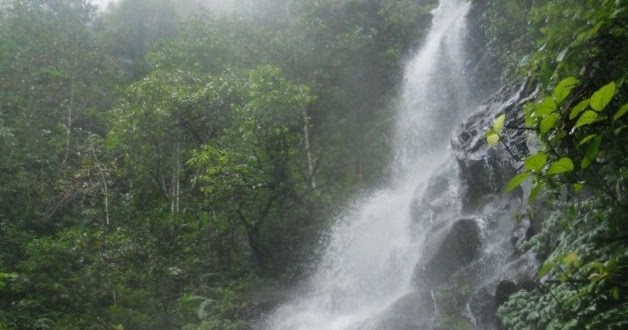 1. Taman Hutan Kota Tulungagung, 2. Kampung Susu Dinasty, 3. Taman Aloon – Aloon Tulungagung, 4. Taman Kali Ngrowo, 5. Agrowisata Belimbing, 6. Pantai Kedung Tumpang, 7. Pantai Molang, 8. Pantai Popoh, 9. Pantai Sanggar, 10. Pantai Sidem, 11. Pantai Pacar, 12. Pantai Godeg, 13. Pantai Coro, 14. Tebing Banyu Mulok, 15. Jambooland Waterpark, 16. Splash Waterpark, 17. Air Terjun Jurang Senggani, 18. Air Terjun Coban Kromo, 19. Air Terjun Kedung Simin, 20. Air Terjun Alas Kandung, 21. Air Terjun Pandan Wangi, 22. Air Terjun Lawean, 23. Candi Penampihan, 24. Candi Dadi, 25. Candi Sanggrahan, 26. Nyawangan Park, 27. Telaga Ngambal, 28. Kedung Tritis, 29. Batu Gedong, 30. Bukit Jomblo, 31. Ranu Gumbolo, 32. Pantai Gerangan, 33. Pantai Brumbun, 34. Pantai Sawah Ombo, 35. Pantai Sioro, 36. Pantai Dlodo, 37. Pantai Klatak Tulungagung , 38. Berburu Sunrise di Pantai Sine, 39. Pantai Lumbung, 40. Pantai Pathok Gebang, 41. Air Terjun Parang Kikis, 42. Jurug Tejo, 43. Gunung Budeg, 44. Candi Boyolangu, 45. Goa Selomangleng, 46. Pantai Ngalur, 47. Sungai Niyama, 48. “Pusat Oleh-oleh” Sentral Kerajinan Industri Marmer, 49. Klenteng Tjoe Tik Kiong, 50. Pantai Pucang Sawit, 51. Waduk Wonorejo, 52. Dokar Dreamland, 53. Gunung Bolo, 54. Wisata Kampung Tani, 55. Goa Pasir, 56. Pantai Gemah, 57. Pantai Patuk Gebang, 58. Pantai Dadap