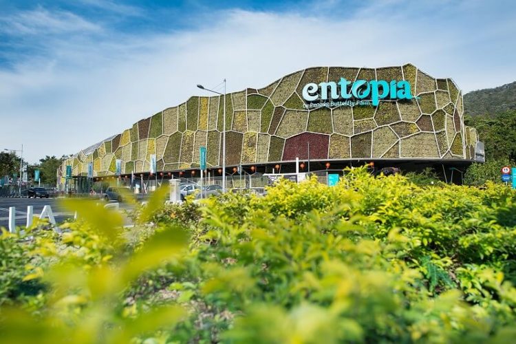 Entopia