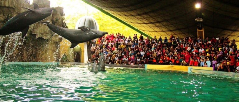 Gelanggan Samudra via anythingjakartaGelanggan Samudra via anythingjakarta, Sejarah Berdirinya Taman Impian Jaya Ancol, Obyek Wisata di Dalam Taman Impian Jaya Ancol, Tiket Masuk Taman Impian Jaya Ancol, Keunggulan Taman Impian Jaya Ancol