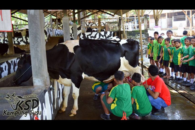 1. Taman Hutan Kota Tulungagung, 2. Kampung Susu Dinasty, 3. Taman Aloon – Aloon Tulungagung, 4. Taman Kali Ngrowo, 5. Agrowisata Belimbing, 6. Pantai Kedung Tumpang, 7. Pantai Molang, 8. Pantai Popoh, 9. Pantai Sanggar, 10. Pantai Sidem, 11. Pantai Pacar, 12. Pantai Godeg, 13. Pantai Coro, 14. Tebing Banyu Mulok, 15. Jambooland Waterpark, 16. Splash Waterpark, 17. Air Terjun Jurang Senggani, 18. Air Terjun Coban Kromo, 19. Air Terjun Kedung Simin, 20. Air Terjun Alas Kandung, 21. Air Terjun Pandan Wangi, 22. Air Terjun Lawean, 23. Candi Penampihan, 24. Candi Dadi, 25. Candi Sanggrahan, 26. Nyawangan Park, 27. Telaga Ngambal, 28. Kedung Tritis, 29. Batu Gedong, 30. Bukit Jomblo, 31. Ranu Gumbolo, 32. Pantai Gerangan, 33. Pantai Brumbun, 34. Pantai Sawah Ombo, 35. Pantai Sioro, 36. Pantai Dlodo, 37. Pantai Klatak Tulungagung , 38. Berburu Sunrise di Pantai Sine, 39. Pantai Lumbung, 40. Pantai Pathok Gebang, 41. Air Terjun Parang Kikis, 42. Jurug Tejo, 43. Gunung Budeg, 44. Candi Boyolangu, 45. Goa Selomangleng, 46. Pantai Ngalur, 47. Sungai Niyama, 48. “Pusat Oleh-oleh” Sentral Kerajinan Industri Marmer, 49. Klenteng Tjoe Tik Kiong, 50. Pantai Pucang Sawit, 51. Waduk Wonorejo, 52. Dokar Dreamland, 53. Gunung Bolo, 54. Wisata Kampung Tani, 55. Goa Pasir, 56. Pantai Gemah, 57. Pantai Patuk Gebang, 58. Pantai Dadap