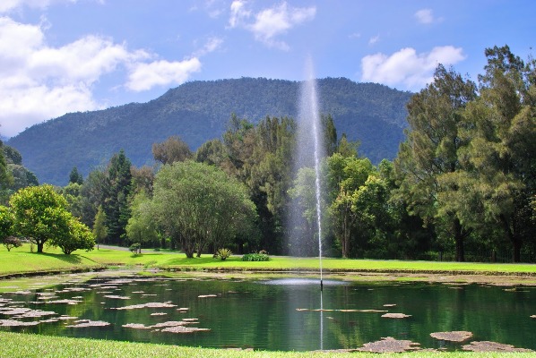 Kolam Besar Kebun Raya Cibodas via Wisatawanalam, Lokasi Taman Cibodas, Sejarah Berdirinya Taman Cibodas, Petunjuk Arah Menuju Cibodas, Harga Tiket Masuk Taman Cibodas, Daya Tarik Kebun Raya Cibodas, Fasilitas yang Ada di Dalam Kebun Cibodas, Penginapan Juga Tersedia Disana, Wisata Lain di Dekat Taman Cibodas