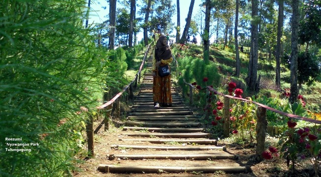 1. Taman Hutan Kota Tulungagung, 2. Kampung Susu Dinasty, 3. Taman Aloon – Aloon Tulungagung, 4. Taman Kali Ngrowo, 5. Agrowisata Belimbing, 6. Pantai Kedung Tumpang, 7. Pantai Molang, 8. Pantai Popoh, 9. Pantai Sanggar, 10. Pantai Sidem, 11. Pantai Pacar, 12. Pantai Godeg, 13. Pantai Coro, 14. Tebing Banyu Mulok, 15. Jambooland Waterpark, 16. Splash Waterpark, 17. Air Terjun Jurang Senggani, 18. Air Terjun Coban Kromo, 19. Air Terjun Kedung Simin, 20. Air Terjun Alas Kandung, 21. Air Terjun Pandan Wangi, 22. Air Terjun Lawean, 23. Candi Penampihan, 24. Candi Dadi, 25. Candi Sanggrahan, 26. Nyawangan Park, 27. Telaga Ngambal, 28. Kedung Tritis, 29. Batu Gedong, 30. Bukit Jomblo, 31. Ranu Gumbolo, 32. Pantai Gerangan, 33. Pantai Brumbun, 34. Pantai Sawah Ombo, 35. Pantai Sioro, 36. Pantai Dlodo, 37. Pantai Klatak Tulungagung , 38. Berburu Sunrise di Pantai Sine, 39. Pantai Lumbung, 40. Pantai Pathok Gebang, 41. Air Terjun Parang Kikis, 42. Jurug Tejo, 43. Gunung Budeg, 44. Candi Boyolangu, 45. Goa Selomangleng, 46. Pantai Ngalur, 47. Sungai Niyama, 48. “Pusat Oleh-oleh” Sentral Kerajinan Industri Marmer, 49. Klenteng Tjoe Tik Kiong, 50. Pantai Pucang Sawit, 51. Waduk Wonorejo, 52. Dokar Dreamland, 53. Gunung Bolo, 54. Wisata Kampung Tani, 55. Goa Pasir, 56. Pantai Gemah, 57. Pantai Patuk Gebang, 58. Pantai Dadap