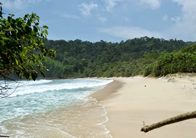 1. Taman Hutan Kota Tulungagung, 2. Kampung Susu Dinasty, 3. Taman Aloon – Aloon Tulungagung, 4. Taman Kali Ngrowo, 5. Agrowisata Belimbing, 6. Pantai Kedung Tumpang, 7. Pantai Molang, 8. Pantai Popoh, 9. Pantai Sanggar, 10. Pantai Sidem, 11. Pantai Pacar, 12. Pantai Godeg, 13. Pantai Coro, 14. Tebing Banyu Mulok, 15. Jambooland Waterpark, 16. Splash Waterpark, 17. Air Terjun Jurang Senggani, 18. Air Terjun Coban Kromo, 19. Air Terjun Kedung Simin, 20. Air Terjun Alas Kandung, 21. Air Terjun Pandan Wangi, 22. Air Terjun Lawean, 23. Candi Penampihan, 24. Candi Dadi, 25. Candi Sanggrahan, 26. Nyawangan Park, 27. Telaga Ngambal, 28. Kedung Tritis, 29. Batu Gedong, 30. Bukit Jomblo, 31. Ranu Gumbolo, 32. Pantai Gerangan, 33. Pantai Brumbun, 34. Pantai Sawah Ombo, 35. Pantai Sioro, 36. Pantai Dlodo, 37. Pantai Klatak Tulungagung , 38. Berburu Sunrise di Pantai Sine, 39. Pantai Lumbung, 40. Pantai Pathok Gebang, 41. Air Terjun Parang Kikis, 42. Jurug Tejo, 43. Gunung Budeg, 44. Candi Boyolangu, 45. Goa Selomangleng, 46. Pantai Ngalur, 47. Sungai Niyama, 48. “Pusat Oleh-oleh” Sentral Kerajinan Industri Marmer, 49. Klenteng Tjoe Tik Kiong, 50. Pantai Pucang Sawit, 51. Waduk Wonorejo, 52. Dokar Dreamland, 53. Gunung Bolo, 54. Wisata Kampung Tani, 55. Goa Pasir, 56. Pantai Gemah, 57. Pantai Patuk Gebang, 58. Pantai Dadap