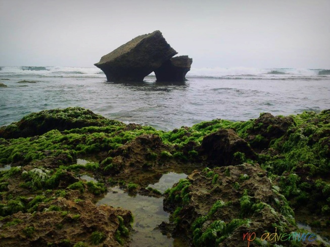 1. Taman Hutan Kota Tulungagung, 2. Kampung Susu Dinasty, 3. Taman Aloon – Aloon Tulungagung, 4. Taman Kali Ngrowo, 5. Agrowisata Belimbing, 6. Pantai Kedung Tumpang, 7. Pantai Molang, 8. Pantai Popoh, 9. Pantai Sanggar, 10. Pantai Sidem, 11. Pantai Pacar, 12. Pantai Godeg, 13. Pantai Coro, 14. Tebing Banyu Mulok, 15. Jambooland Waterpark, 16. Splash Waterpark, 17. Air Terjun Jurang Senggani, 18. Air Terjun Coban Kromo, 19. Air Terjun Kedung Simin, 20. Air Terjun Alas Kandung, 21. Air Terjun Pandan Wangi, 22. Air Terjun Lawean, 23. Candi Penampihan, 24. Candi Dadi, 25. Candi Sanggrahan, 26. Nyawangan Park, 27. Telaga Ngambal, 28. Kedung Tritis, 29. Batu Gedong, 30. Bukit Jomblo, 31. Ranu Gumbolo, 32. Pantai Gerangan, 33. Pantai Brumbun, 34. Pantai Sawah Ombo, 35. Pantai Sioro, 36. Pantai Dlodo, 37. Pantai Klatak Tulungagung , 38. Berburu Sunrise di Pantai Sine, 39. Pantai Lumbung, 40. Pantai Pathok Gebang, 41. Air Terjun Parang Kikis, 42. Jurug Tejo, 43. Gunung Budeg, 44. Candi Boyolangu, 45. Goa Selomangleng, 46. Pantai Ngalur, 47. Sungai Niyama, 48. “Pusat Oleh-oleh” Sentral Kerajinan Industri Marmer, 49. Klenteng Tjoe Tik Kiong, 50. Pantai Pucang Sawit, 51. Waduk Wonorejo, 52. Dokar Dreamland, 53. Gunung Bolo, 54. Wisata Kampung Tani, 55. Goa Pasir, 56. Pantai Gemah, 57. Pantai Patuk Gebang, 58. Pantai Dadap
