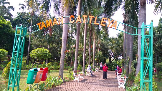 Pintu Masuk Taman Cattleya Jakarta Barat via Triadvisor, Aktivitas yang Bisa Dilakukan di Taman Cattleya, Rute Mudah Menuju ke Taman Cattleya, Wisata Kuliner Nikmat di Sekitar Taman, Saran dan Tips Jika Berlibur di Taman Cattleya