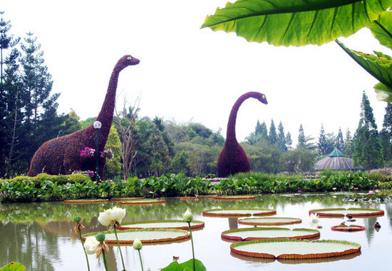 Taman Air via tamanbunganusantara, Asal Mula Taman Bunga Nusantara, Merupakan Ladang Percobaan di Bidang Bunga, Luasnya Mencapai Puluhan Hektar, Rute untuk Menuju Taman Bunga Nusantara, Peta Taman Bunga Nusantara      Tiketnya Ramah Kantong, Berbagai Wisata yang ada di dalam Taman Bunga Nusantara, Terdapat Beberapa Landmark Andalan, Ada Penginapannya Juga kok!, Fasilitas di Taman Bunga Nusantara