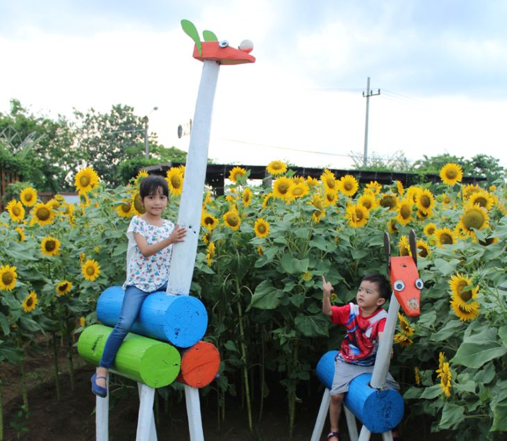 Taman Bunga Matahari Probolinggo, 1. Taman Bunga Matahari Bantul di Dekat Pantai Samas, 2. Pernah Dengar Taman Dewari Magelang?, 3. Kediri juga Punya Taman Bunga Matahari lho!, 4. Beejay Bakau Juga Dikenal dengan Bunga Mataharinya, 5. Jangan Lupakan Taman Bunga Matahari Megastar Malang, 6. Taman Bunga Matahari di Pesisir Pantai Glagah, 7. Taman Bunga Matahari di Boyolali, 8. Taman Bunga Matahari di Banyumas, 9. Sky Garden Paris Van Java Bandung, 10. Watu Goyang Dlingo, 11. Gunung Api Purba, 12. Karangmalang Sragen, 13. Taman Bunga Nusantara Cianjur