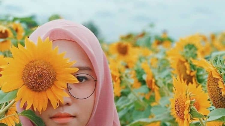 Taman Bunga Matahari di Banyumas, 1. Taman Bunga Matahari Bantul di Dekat Pantai Samas, 2. Pernah Dengar Taman Dewari Magelang?, 3. Kediri juga Punya Taman Bunga Matahari lho!, 4. Beejay Bakau Juga Dikenal dengan Bunga Mataharinya, 5. Jangan Lupakan Taman Bunga Matahari Megastar Malang, 6. Taman Bunga Matahari di Pesisir Pantai Glagah, 7. Taman Bunga Matahari di Boyolali, 8. Taman Bunga Matahari di Banyumas, 9. Sky Garden Paris Van Java Bandung, 10. Watu Goyang Dlingo, 11. Gunung Api Purba, 12. Karangmalang Sragen, 13. Taman Bunga Nusantara Cianjur