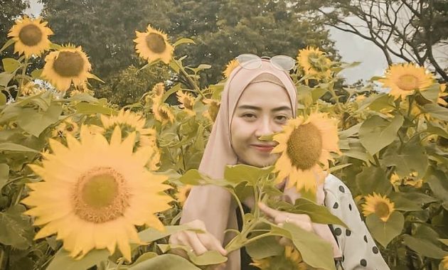 Taman Bunga Nusantara Cianjur via Instagram.com @kediri.cetar, 1. Taman Bunga Matahari Bantul di Dekat Pantai Samas, 2. Pernah Dengar Taman Dewari Magelang?, 3. Kediri juga Punya Taman Bunga Matahari lho!, 4. Beejay Bakau Juga Dikenal dengan Bunga Mataharinya, 5. Jangan Lupakan Taman Bunga Matahari Megastar Malang, 6. Taman Bunga Matahari di Pesisir Pantai Glagah, 7. Taman Bunga Matahari di Boyolali, 8. Taman Bunga Matahari di Banyumas, 9. Sky Garden Paris Van Java Bandung, 10. Watu Goyang Dlingo, 11. Gunung Api Purba, 12. Karangmalang Sragen, 13. Taman Bunga Nusantara Cianjur