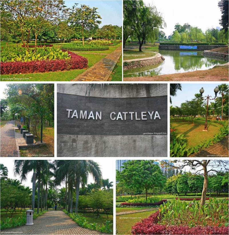 Taman Cattleya Jakarta Barat via Iyaa, 1. Tebet Eco Park, 2. Taman Lapangan Banteng, 3. Taman Suropati, 4. Taman Menteng , 5. Hutan Kota Srengseng, 6. Taman Kalijodo , 7. Taman Tabebuya , 8. Taman Cattleya , 9. Taman Hutan Kota Penjaringan, 10. Taman Spathodea , 11. Taman Situ Lembang , 12. Taman Ayodia – Barito , 13. Taman Tangkuban Perahu, 14. Taman Langsat , 15. Taman Prasasti, 16. Taman Waduk Pluit , 17. Taman Tribeca , 18. Taman Mataram , 19. Taman Ria Rio , 20. Taman Puring, 21. Taman Cornel Simanjuntak, 22. Taman Dadap Merah, 23. Taman Kelapa