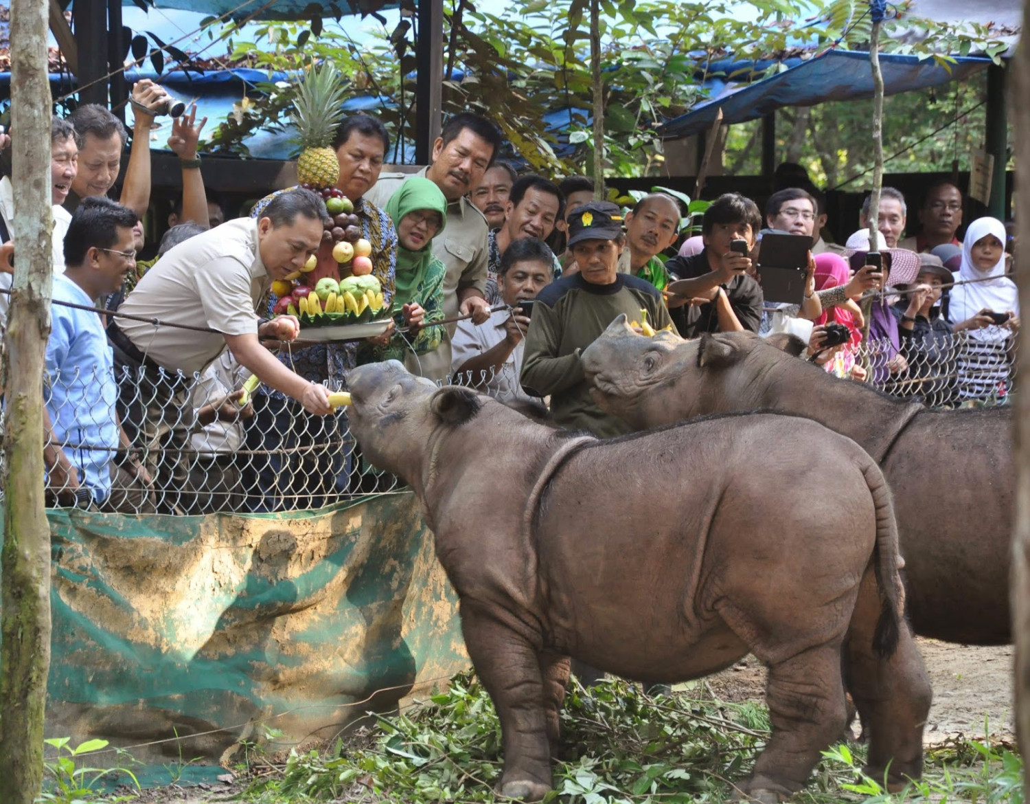 Taman Ujung Kulon