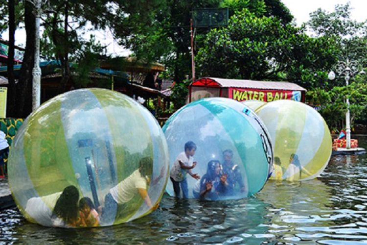 Water Ball Dok Taman Wisata Matahari - Wisata Hits Bogor, 1. Goa Agung Garunggang, 2. Taman Sakura, 3. Curug Cigamea, 4. Curug Leuwi Hejo, 5. Curug Ciburial, 6. Curug Leuwi Lieuk, 7. Taman Safari, 8. Bukit Alesano, 9. Taman Wisata Matahari, 10. Sungai Cisadane, 11. Air Panas Tirta Sanita Ciseeng, 12. Warso Farm, 13. Taman Bunga Nusantara, 14. The Highland Park Resort