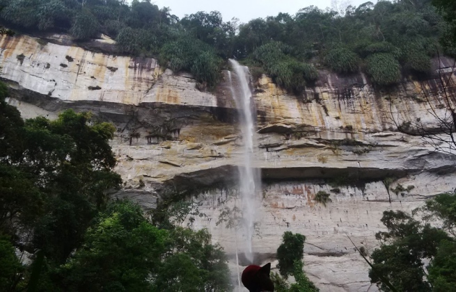 Air Terjun Pangkalan Kapas, 1. Istana Siak, 2. ASIA FARM HAYDAY¹, 3. Pantai Cinta, Teluk Jering Tambang, 4. Kasang Kulim Zoo, 5. Citraland Waterpark, 6. Taman Kota Pekanbaru, 7. Wisata Danau Raja Rengat, 8. Bukit Ulu Kasok, 9. Bandar Bakau Dumai, 10. Labersa Water Park Riau Fantasi, 11. Pantai Selat Baru, 12. Candi Muara Takus, 13. Taman Rekreasi Alam Mayang Pekanbaru, 14. Lapangan Pasir Bengkalis, 15. Pantai Tanjung Medang, Teluk Rhu Rupat, 16. Pantai Tenggayun, 17. Pantai Marina, 18. Danau Rusa Kampar, 19. Wisata Hutan Pinus Cadika, 20. Wisata Bono, Berselancar di Sungai Kampar, 21. Perpustakaan Soeman H.S, 22. Taman Wisata Alam Koboko, 23. Air Terjun TEMBULUN Kinutan, 24. Agro Wisata Pelangi, 25. KAMPOENG RABBIT’S KULIM, 26. Museum Sang Nila Utama Pekanbaru, 27. Desa Okura Pekanbaru, 28. Pantai Sepahat, 29. Taman Hutan Raya Sultan Syarif Kasim, 30. Taman Andam Dewi, 31. Rumah Lontik, 32. Kawah Biru, 33. Pulau Jemur, 34. Air Terjun Pangkalan Kapas, 35. Air Terjun Panisan, 36. Pulau Beting Aceh, 37. Hutan Mangrove Sebauk, 39. Jembatan Water Front City Bangkinang, 39. Masjid Raya An-Nur Provinsi Riau